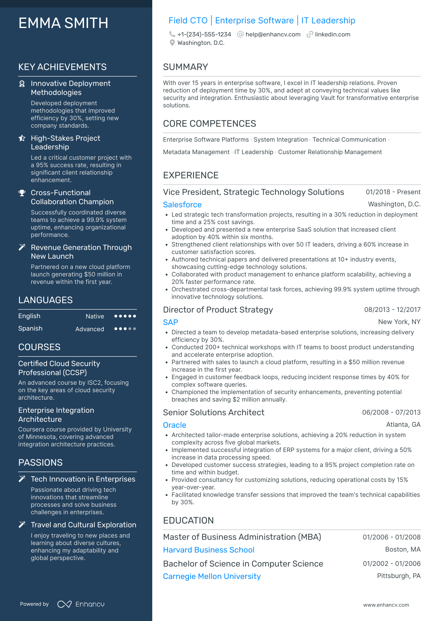 Chief Technology Strategy Officer Resume Example