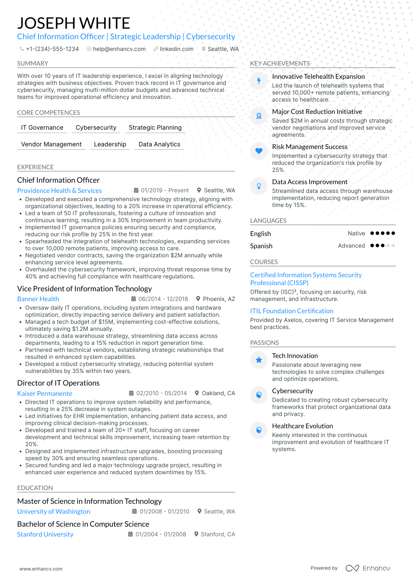 Chief Digital Information Officer Resume Example