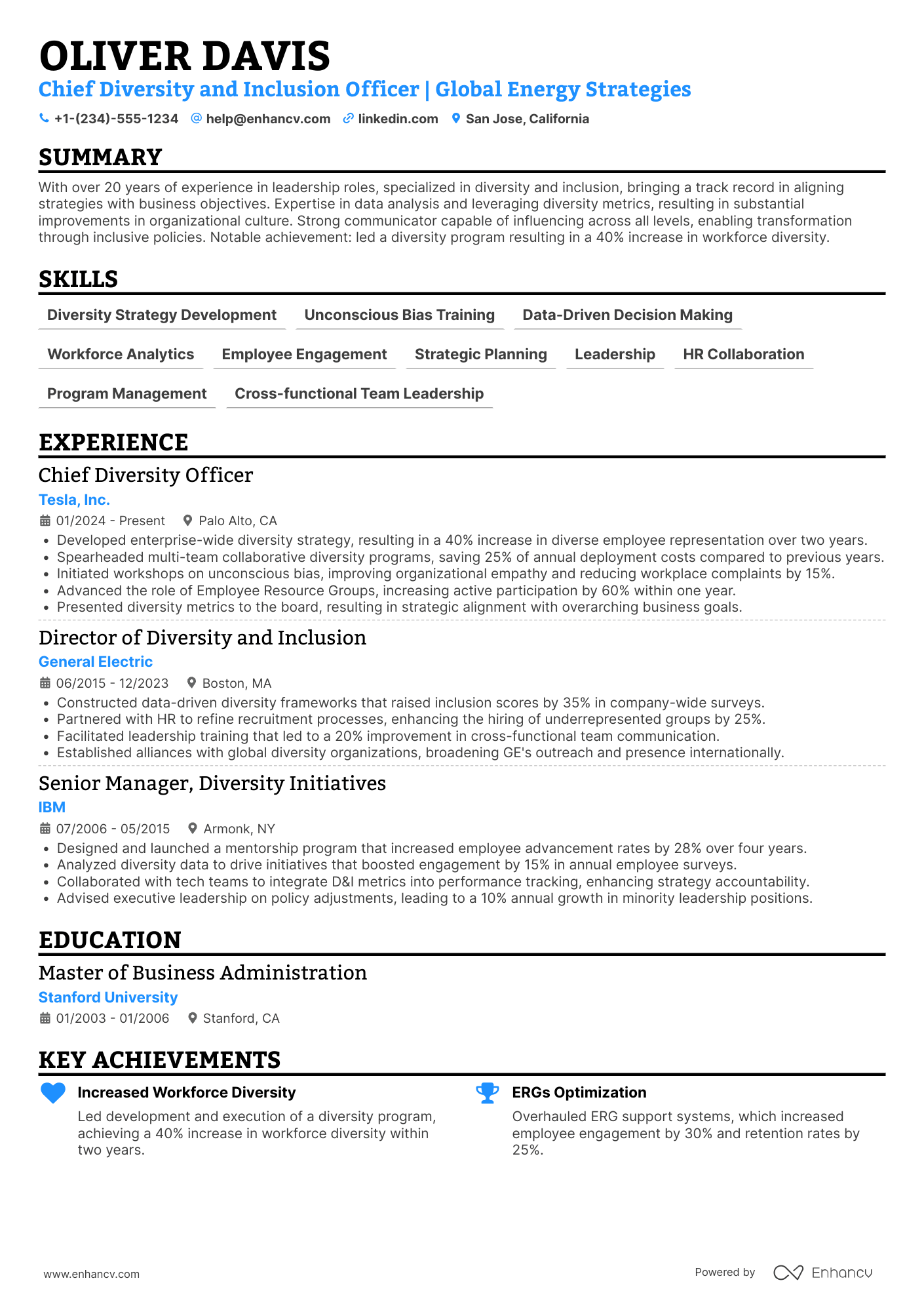 Chief Diversity and Inclusion Officer Resume Example