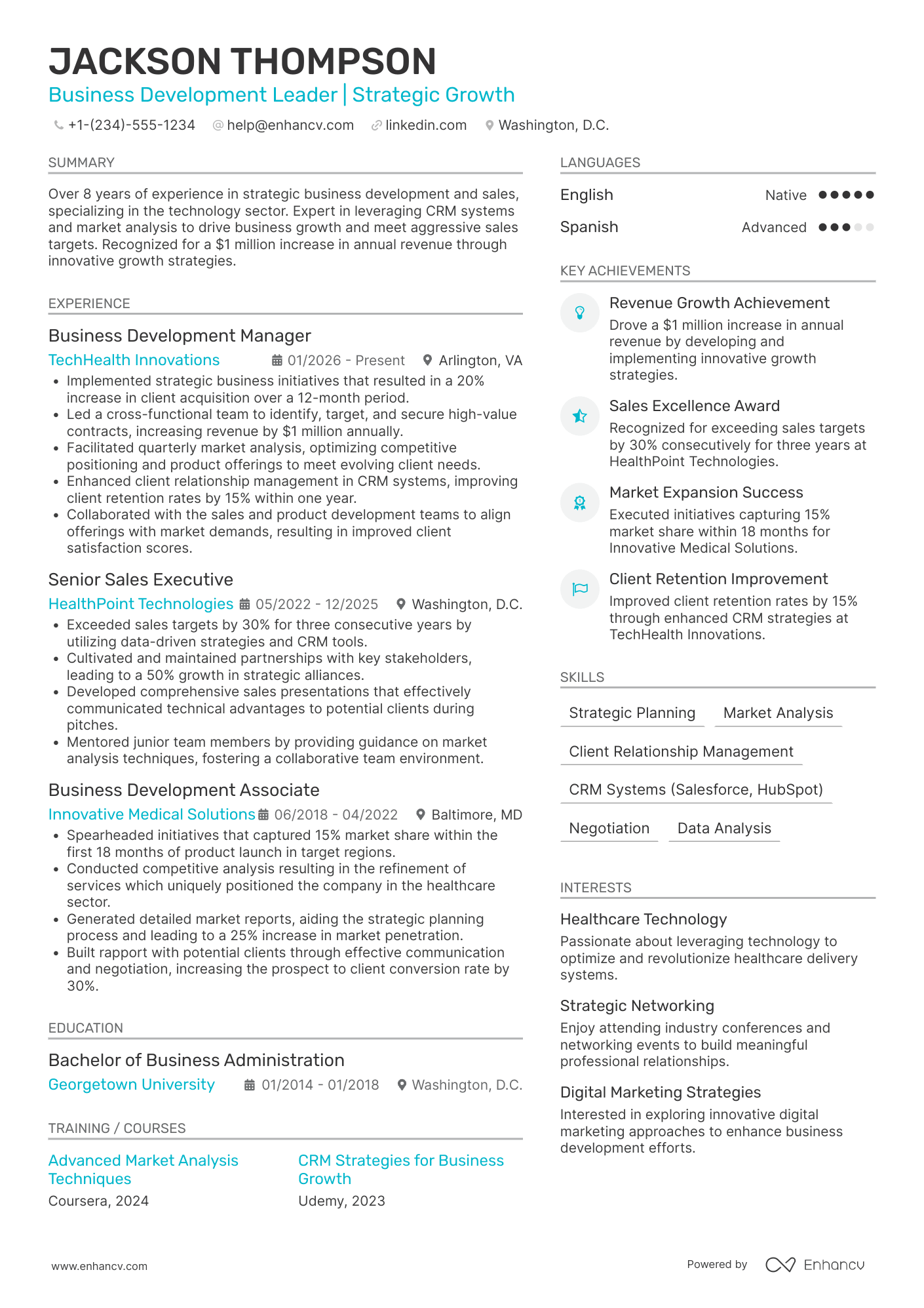 Business Development Strategist Resume Example