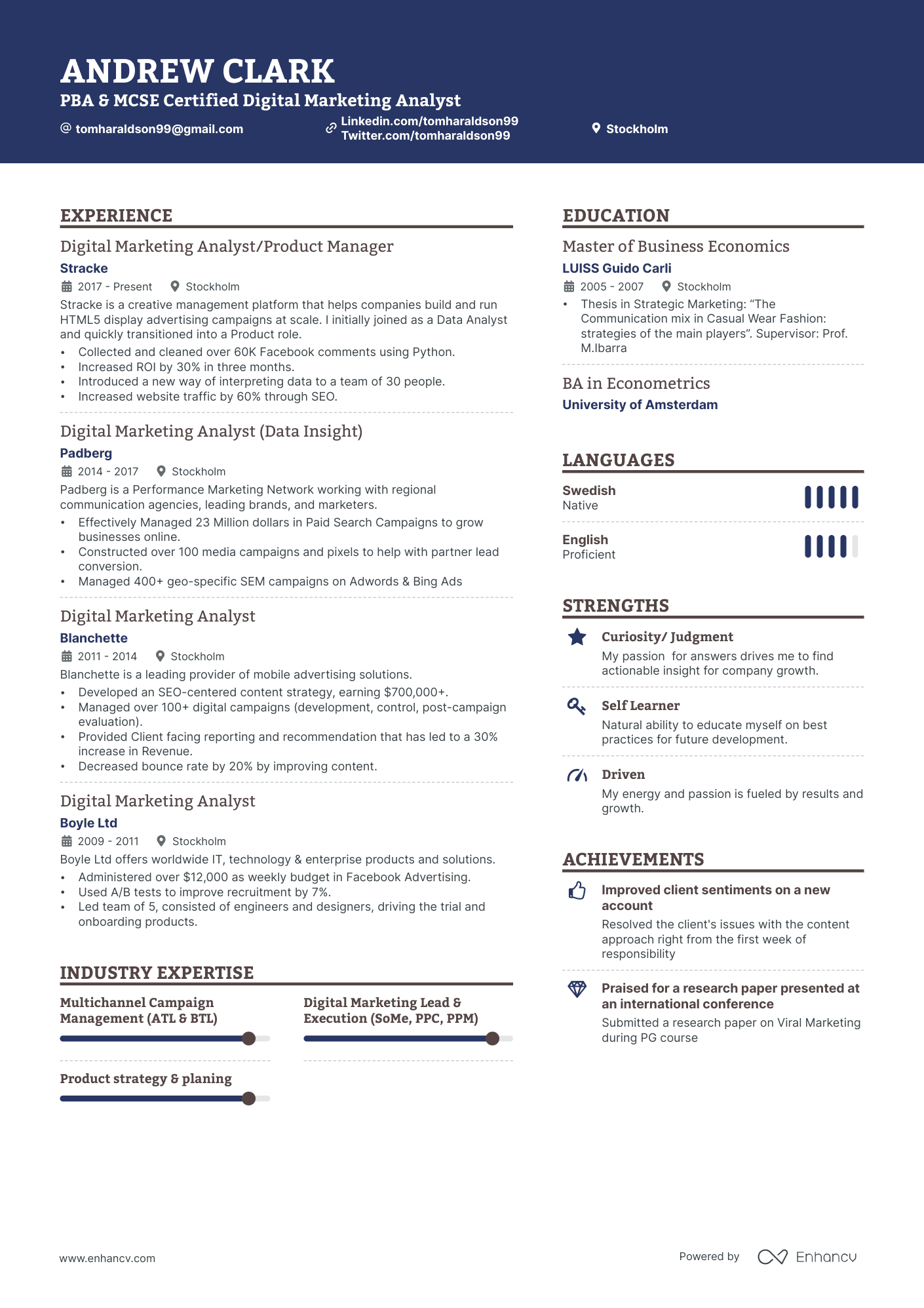 Digital Marketing Analyst Resume Example
