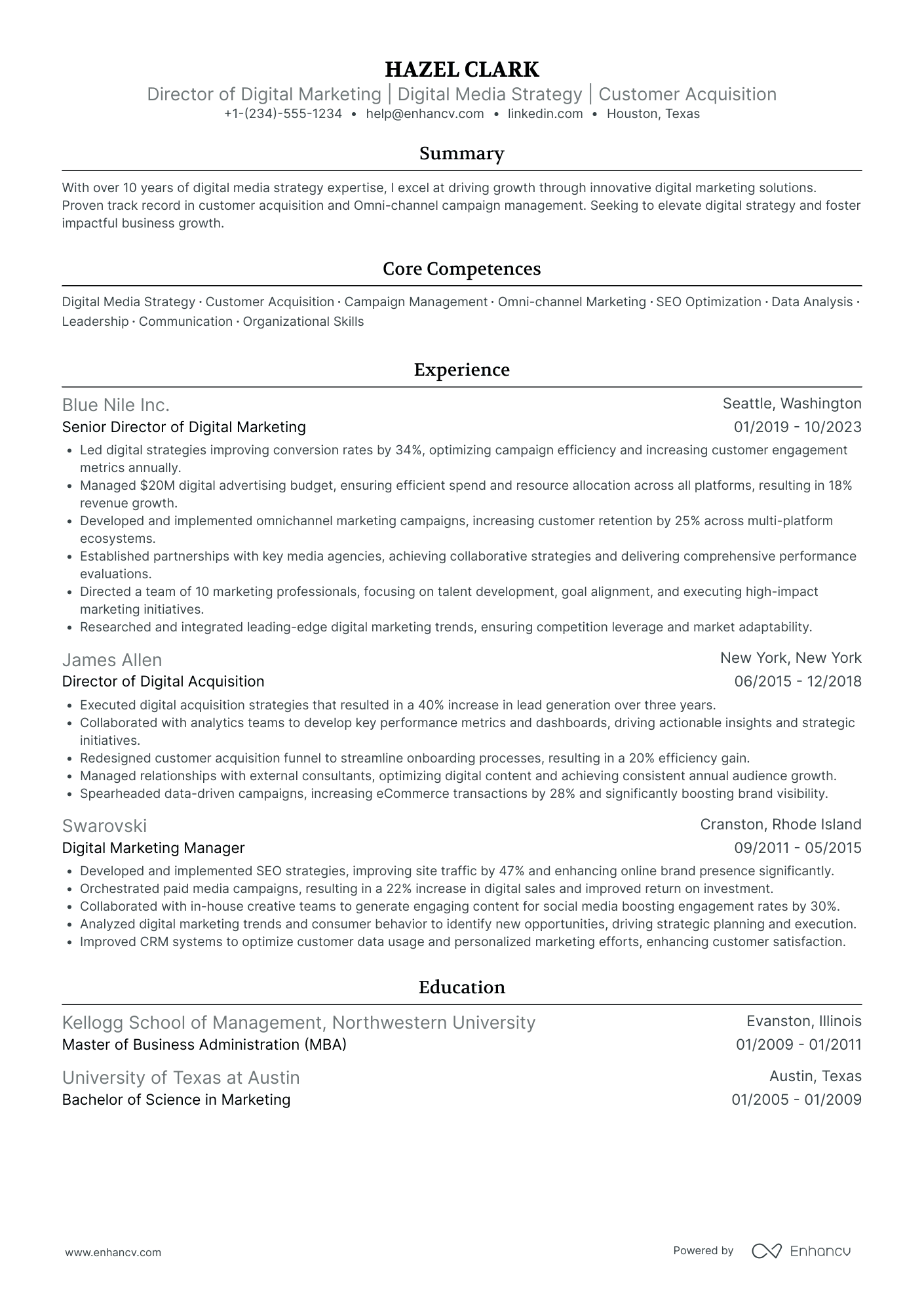 Chief Digital Marketing Officer Resume Example
