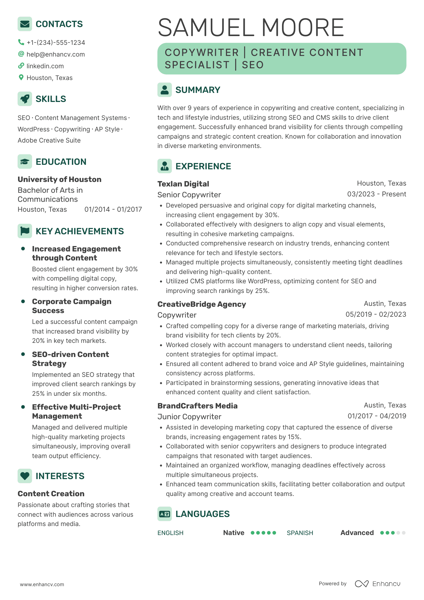 Freelance Copywriter Resume Example