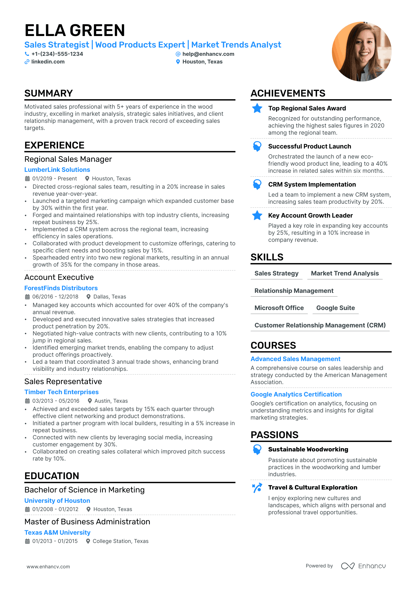 Sales and Marketing Executive Resume Example