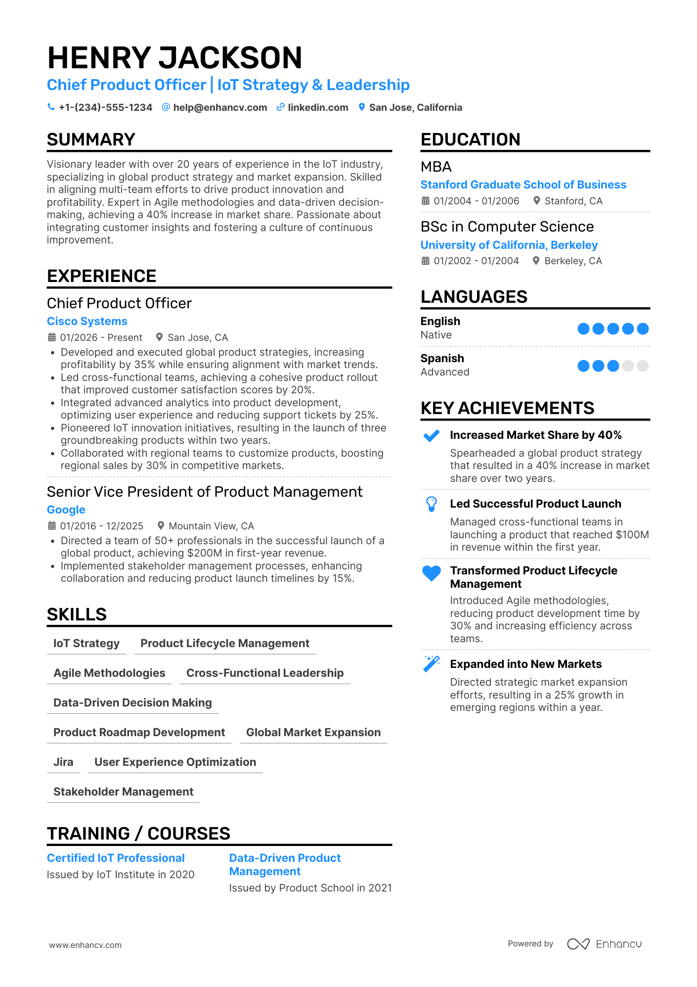 Global Chief Product Officer Resume Example