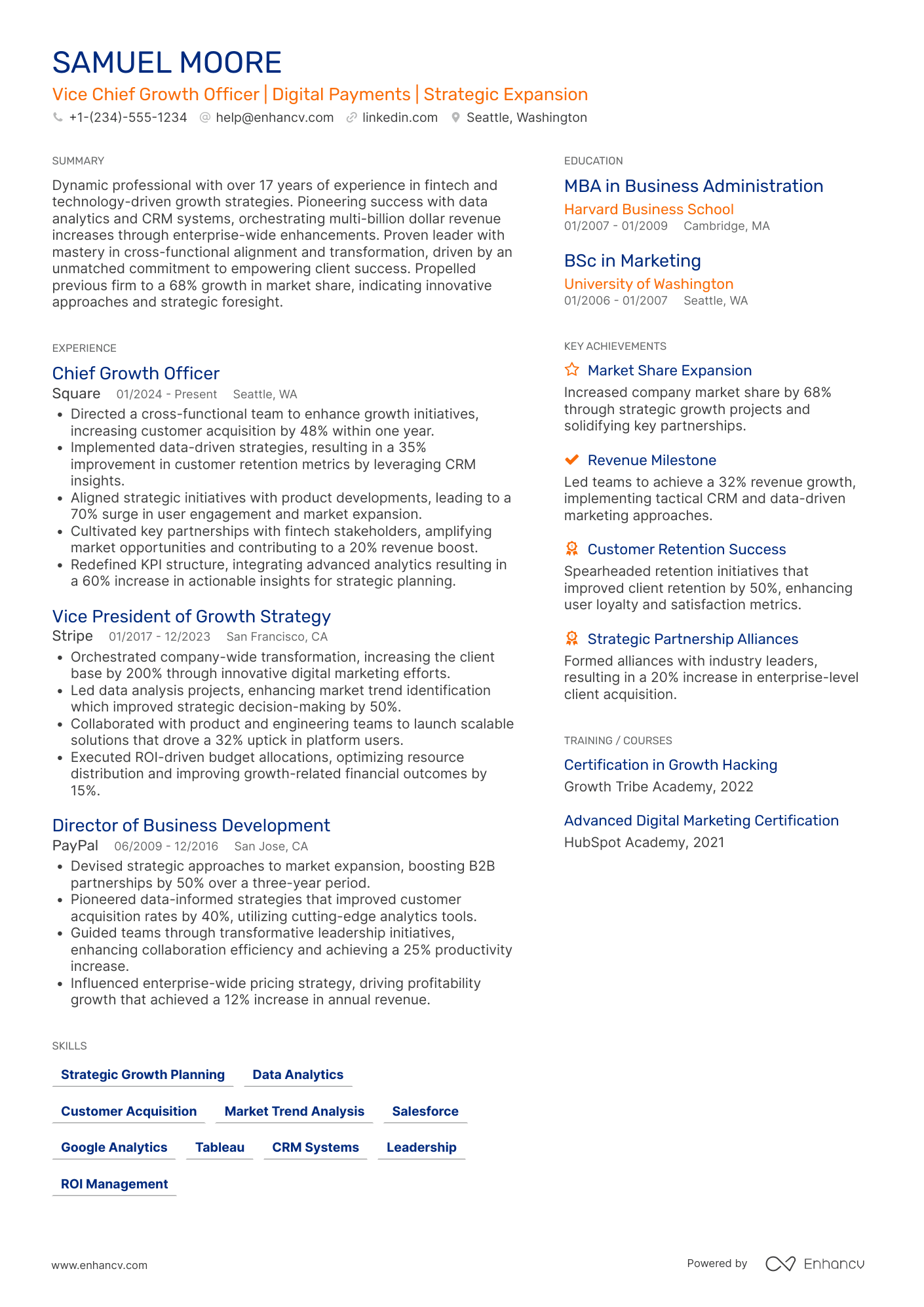 Vice Chief Growth Officer Resume Example