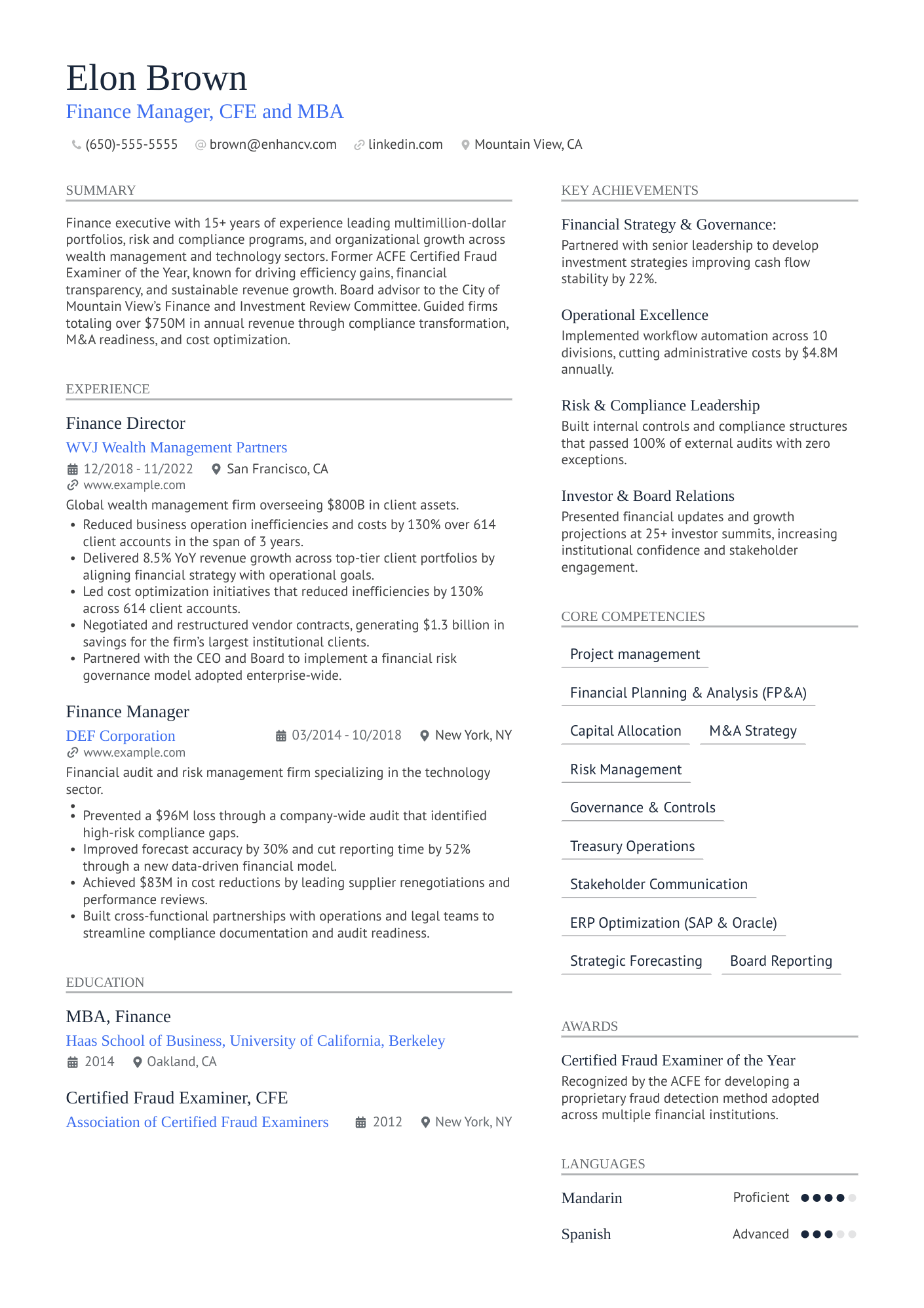 Chief Financial Officer Resume Example