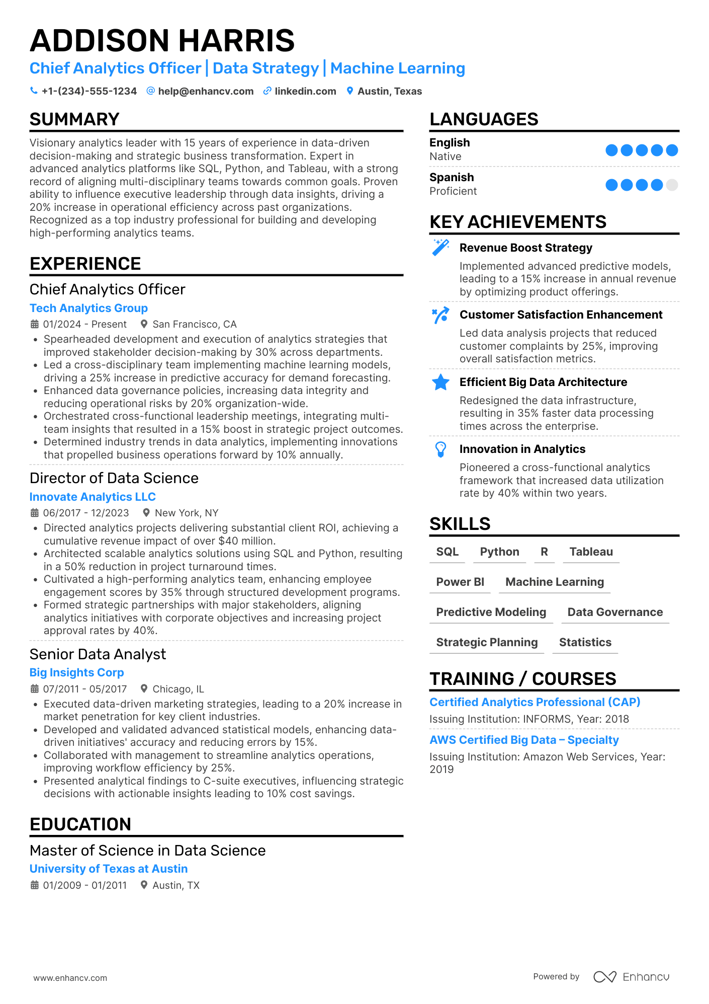Chief Analytics Officer Resume Example