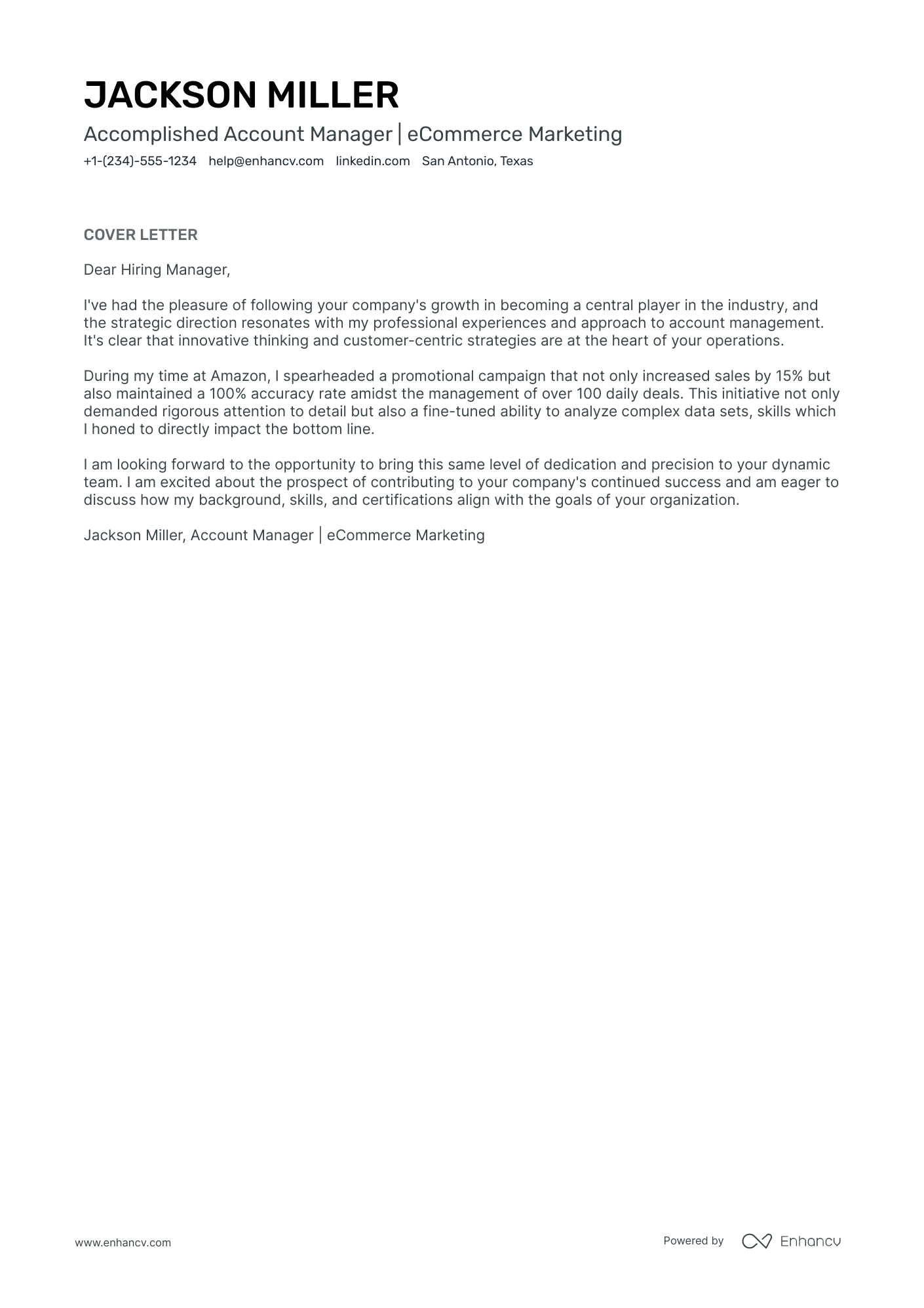 E Commerce Account Manager Resume Example