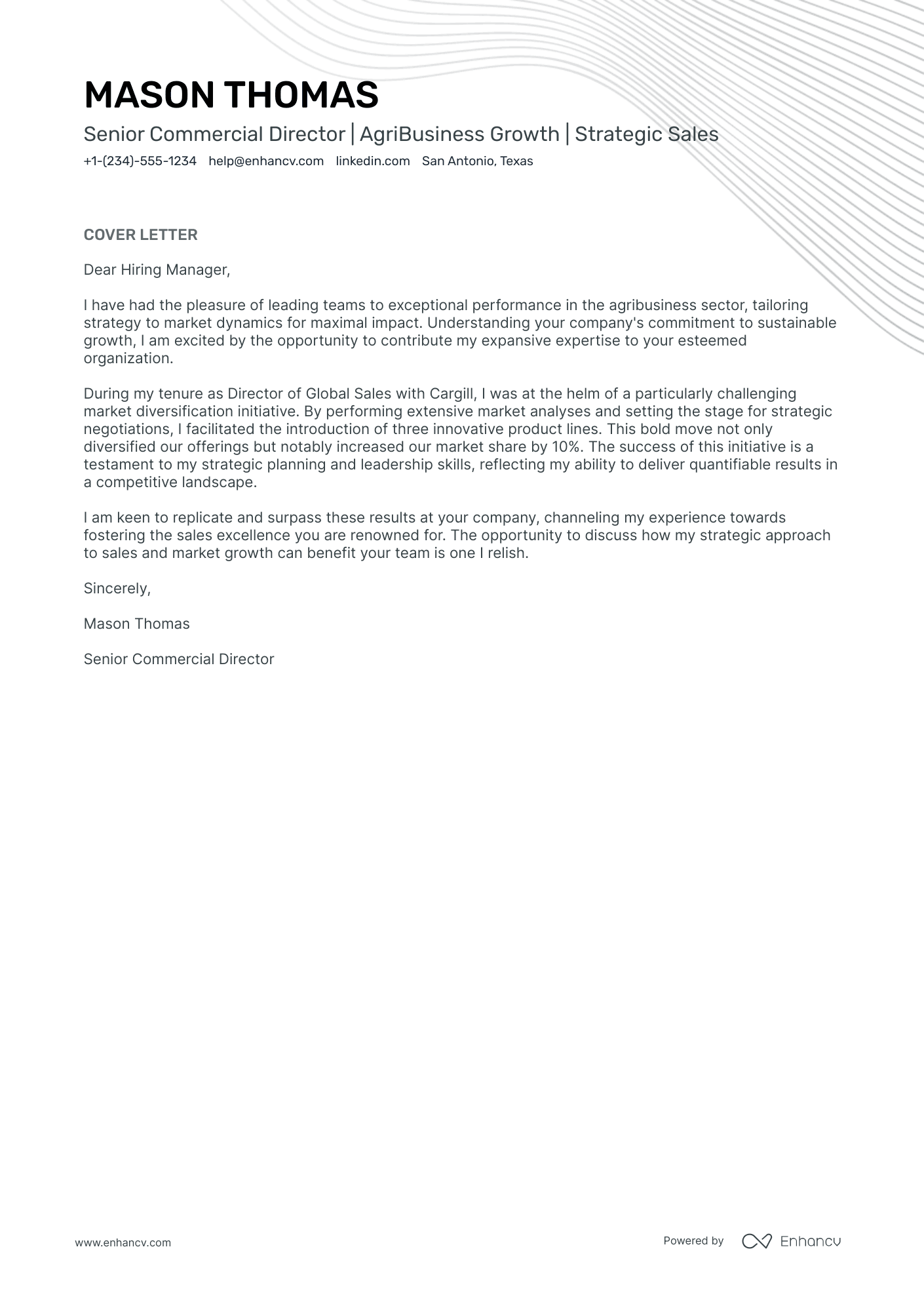 Commercial Director Resume Example