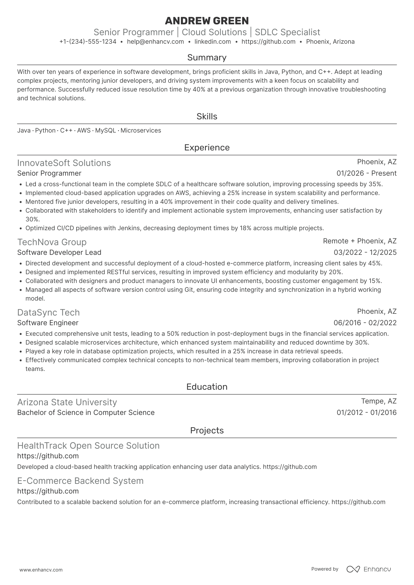 Senior Programmer Resume Example