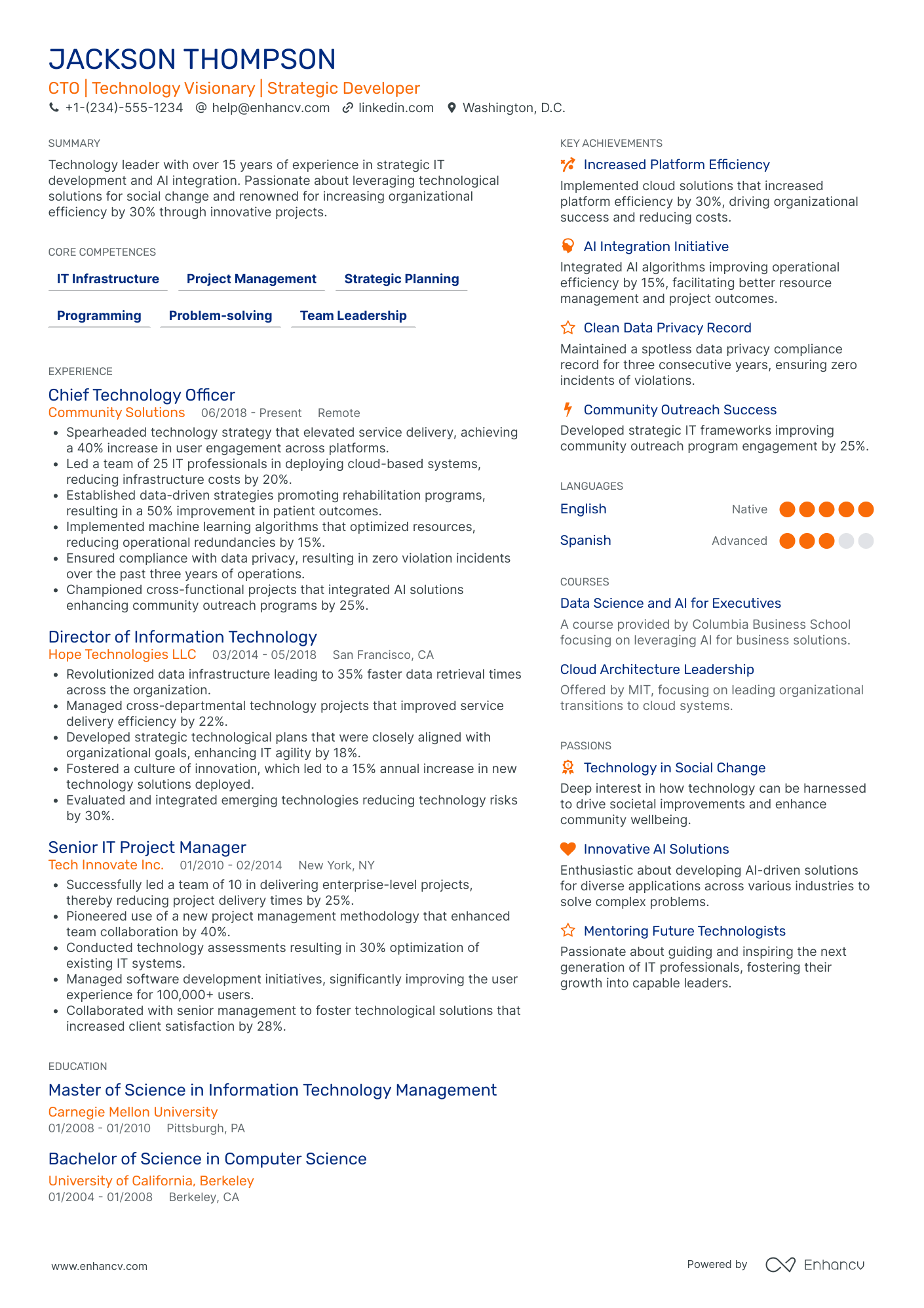 Chief Information Officer in Nonprofit Organizations Resume Example
