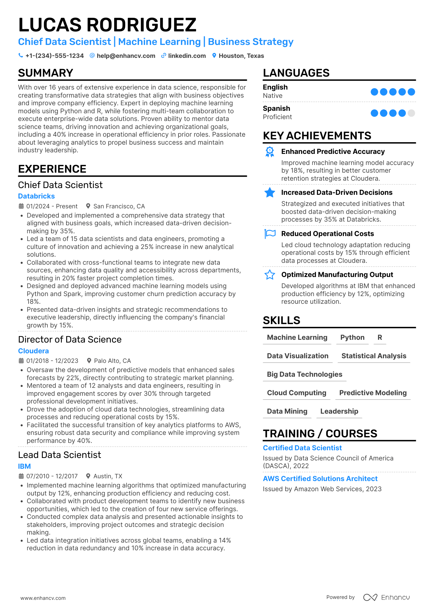 Chief Data Scientist Resume Example