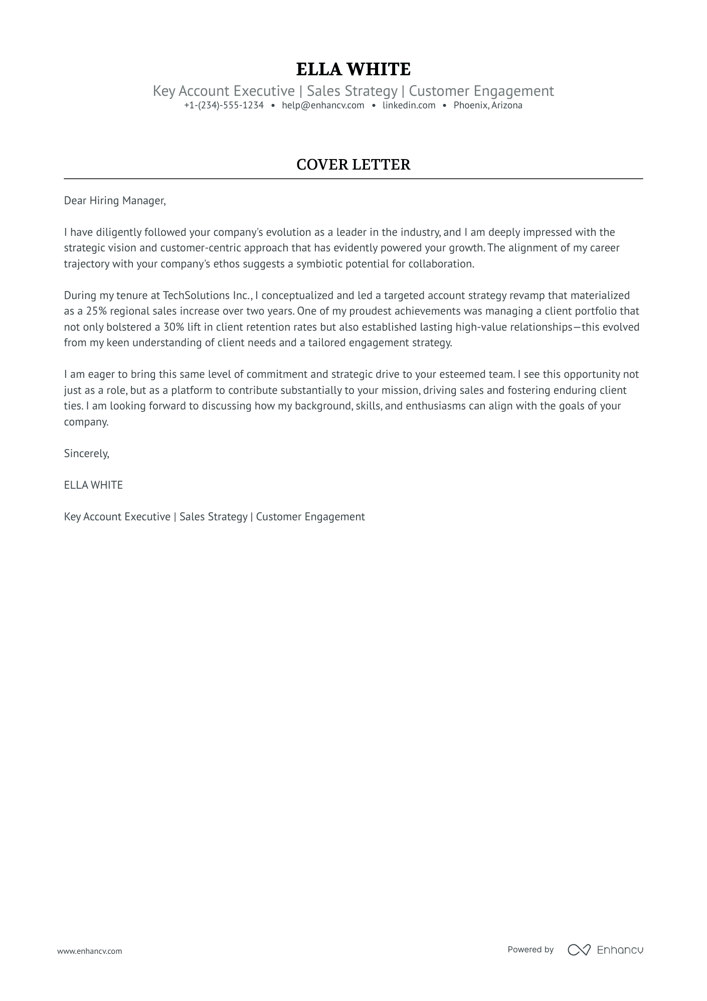 Sales Account Manager Resume Example