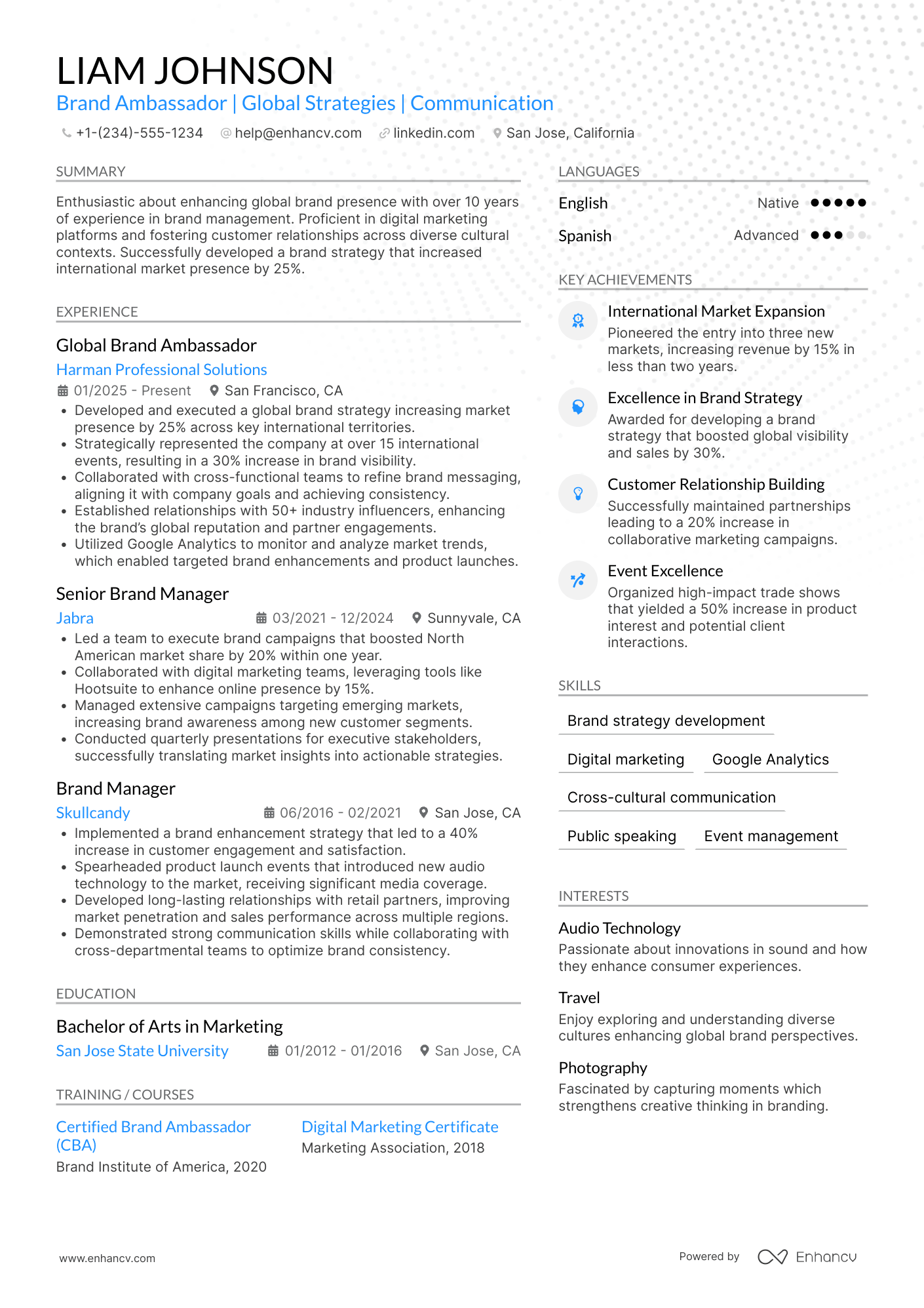 Global Brand Ambassador Resume Example