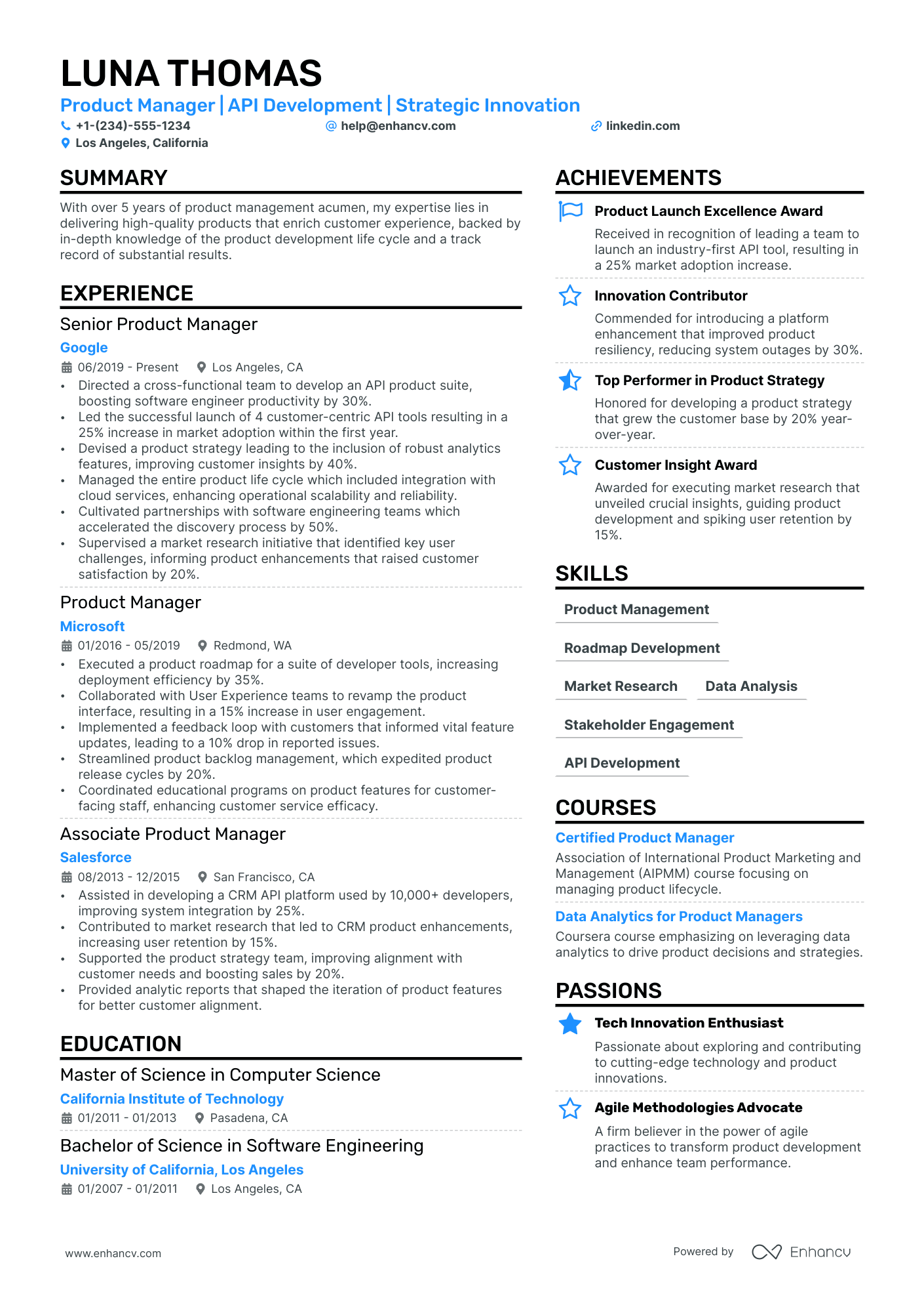 Api Product Manager Resume Example