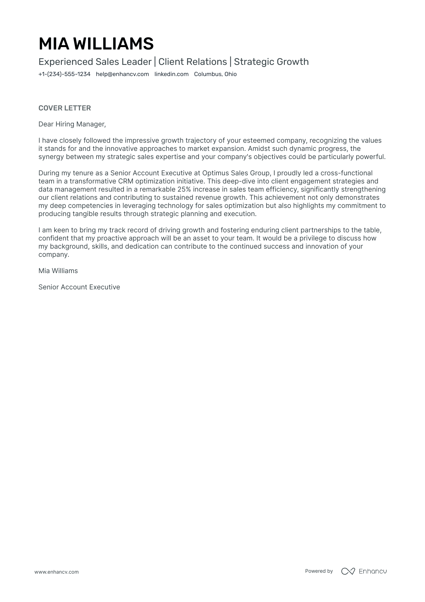 Marketing Account Manager Resume Example