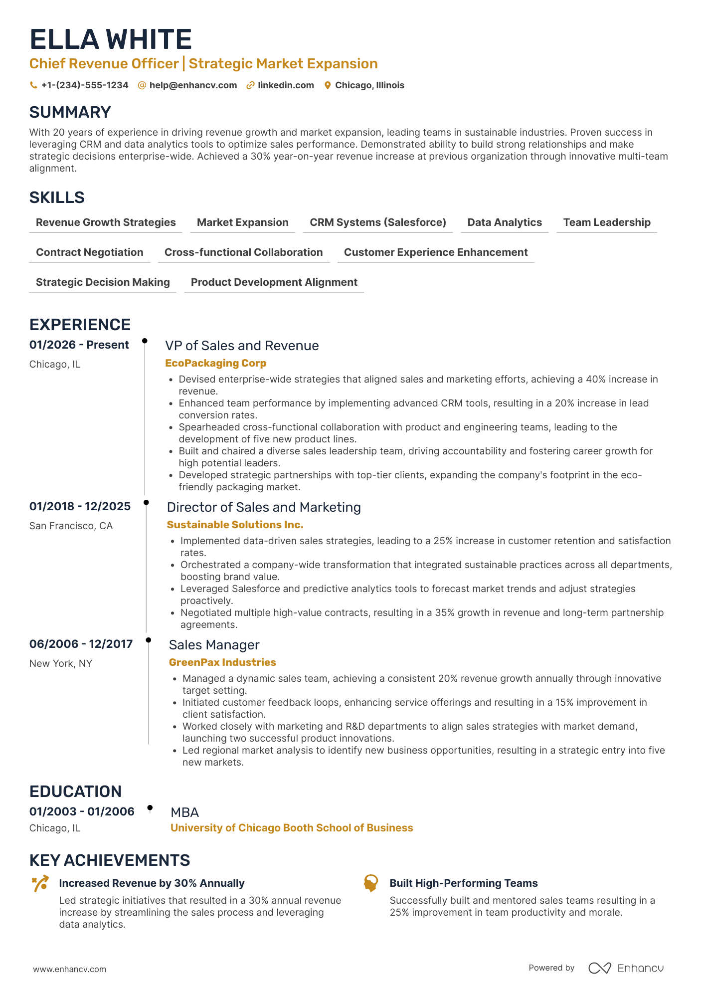 Chief Revenue Growth Officer Resume Example