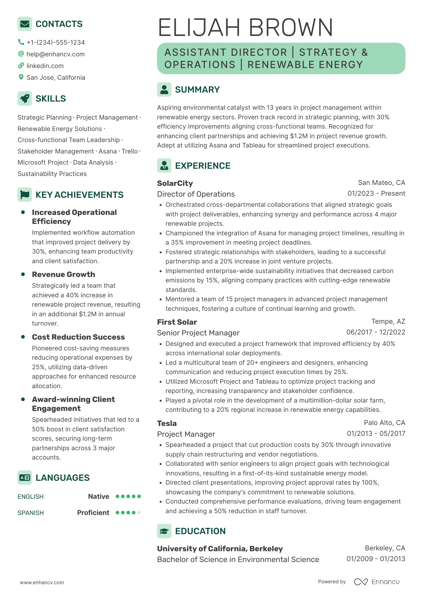 Assistant Director Resume Example
