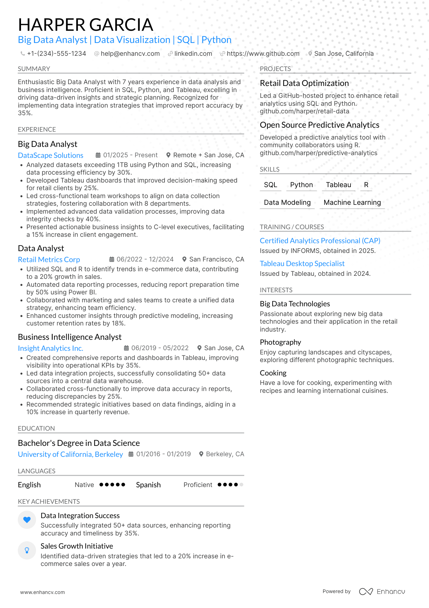 Big Data Analyst Resume Example