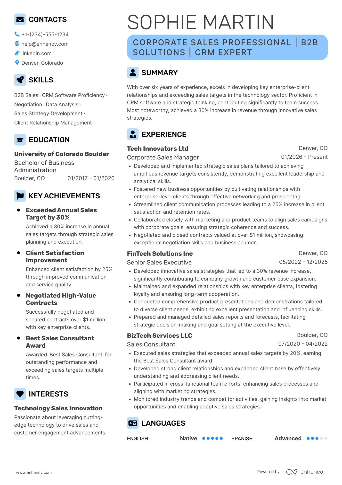 Corporate Sales Professional Resume Example