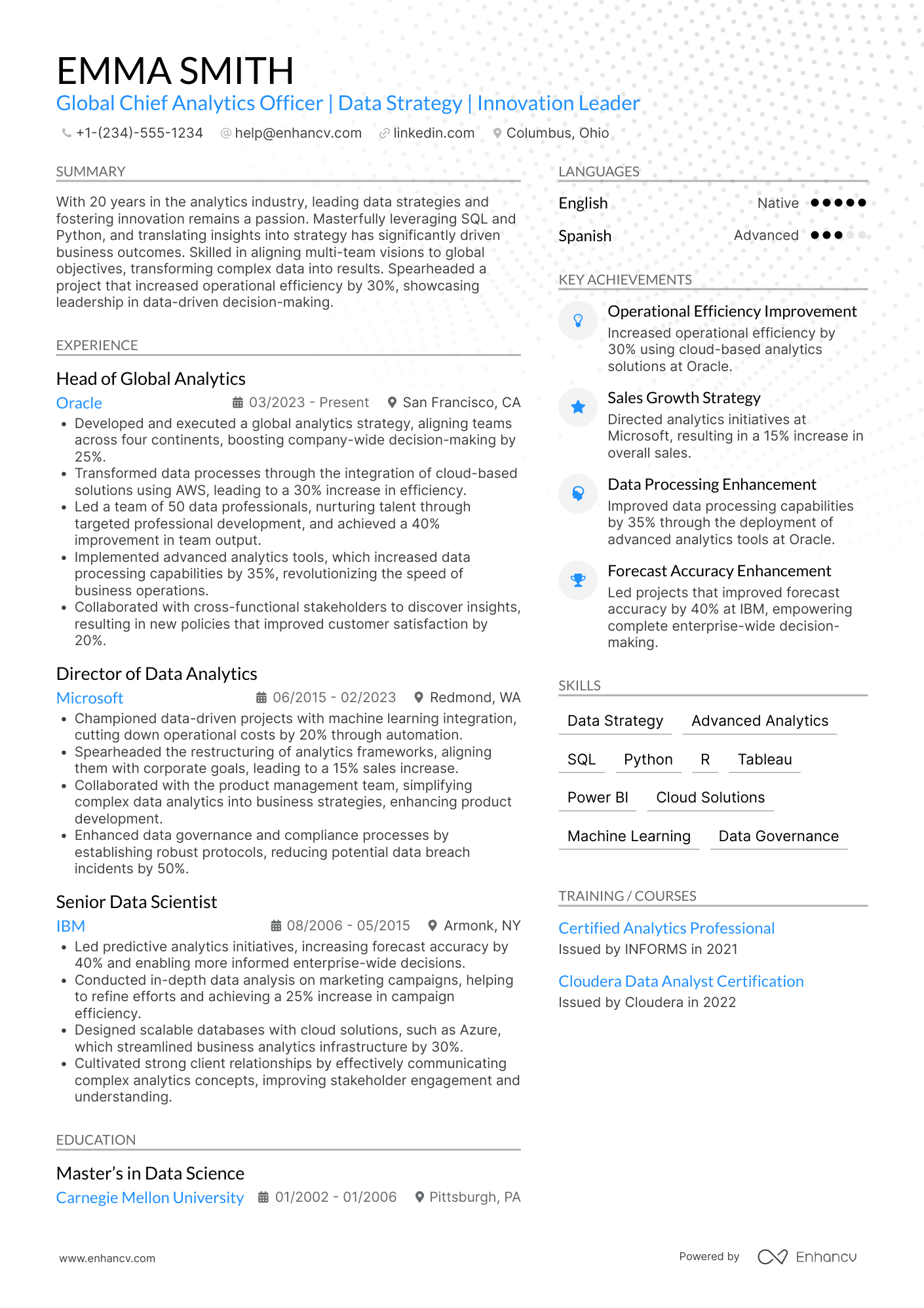 Global Chief Analytics Officer Resume Example