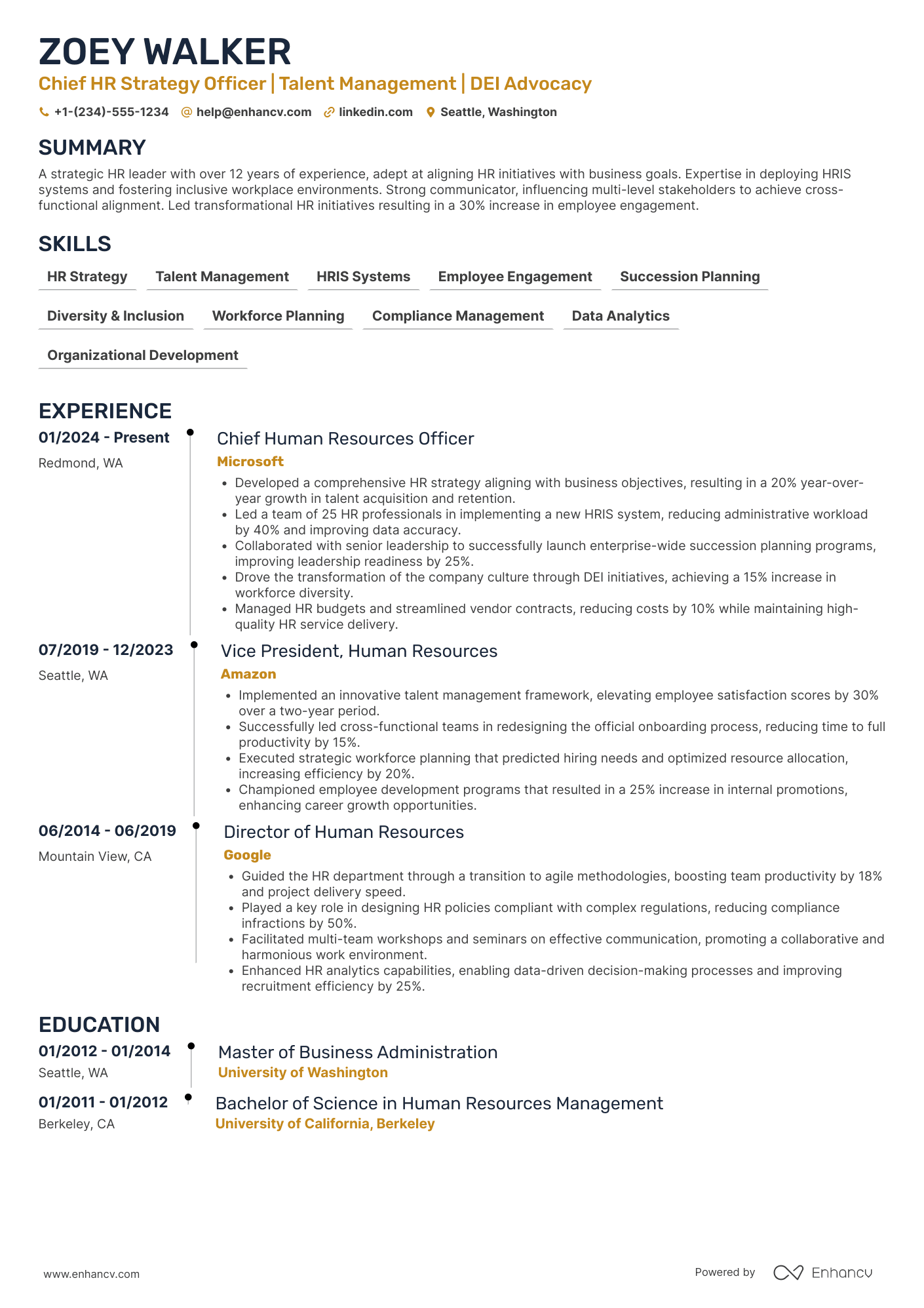 Chief Human Resources Strategy Officer Resume Example