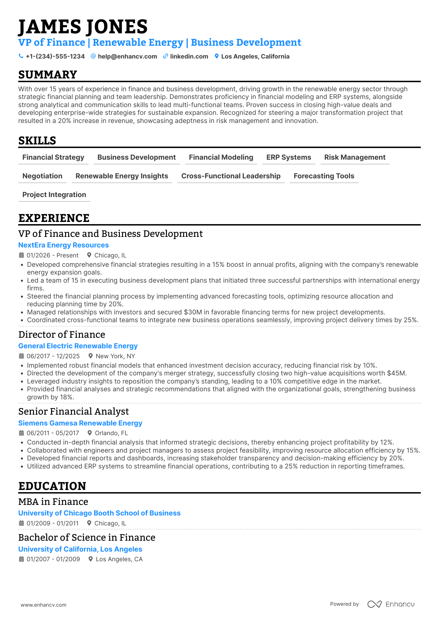 VP of Finance and Business Development Resume Example