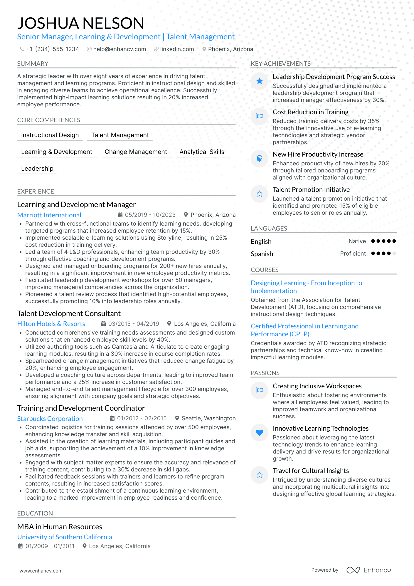 Chief Learning and Culture Officer Resume Example