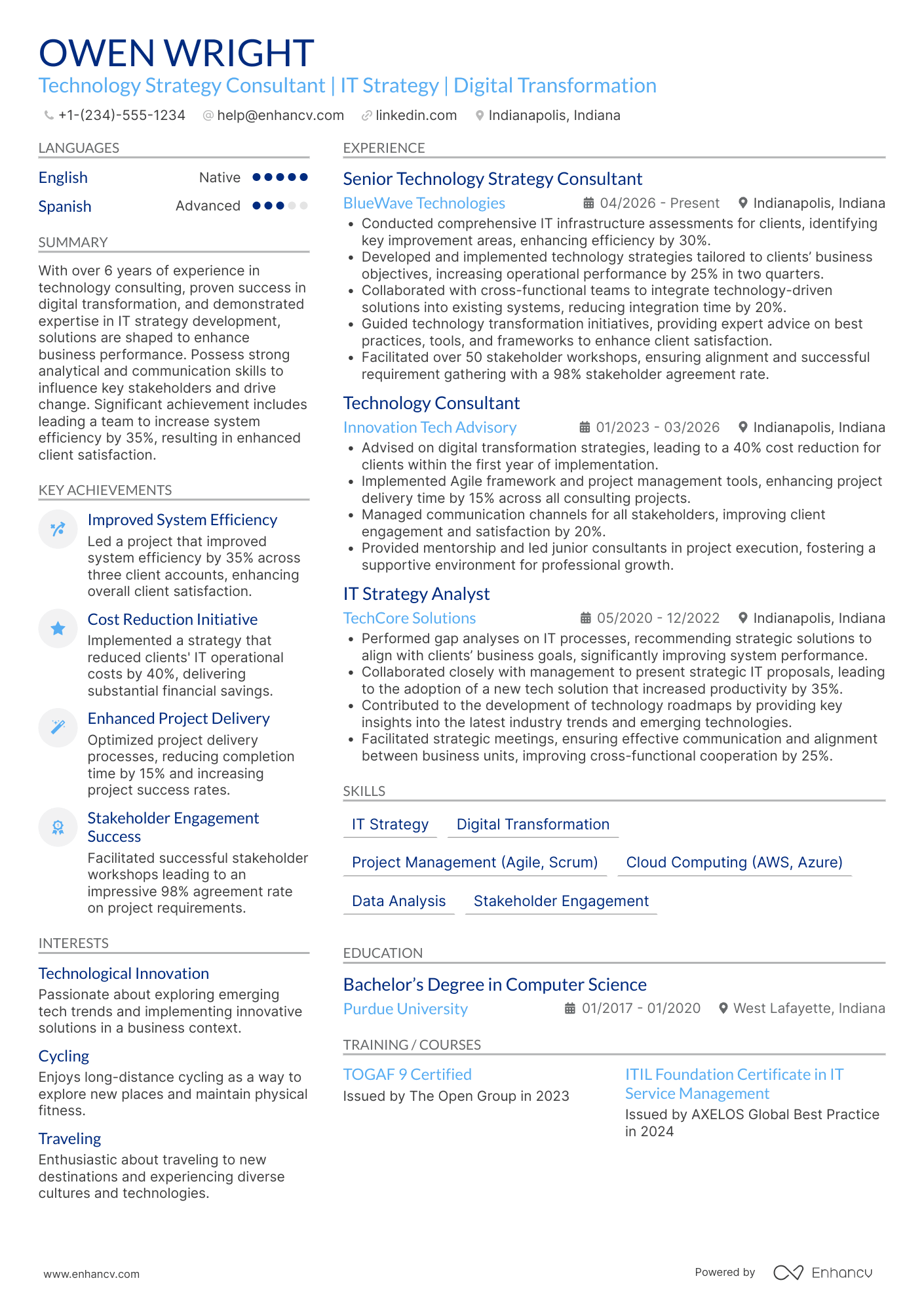 Technology Strategy Consultant Resume Example