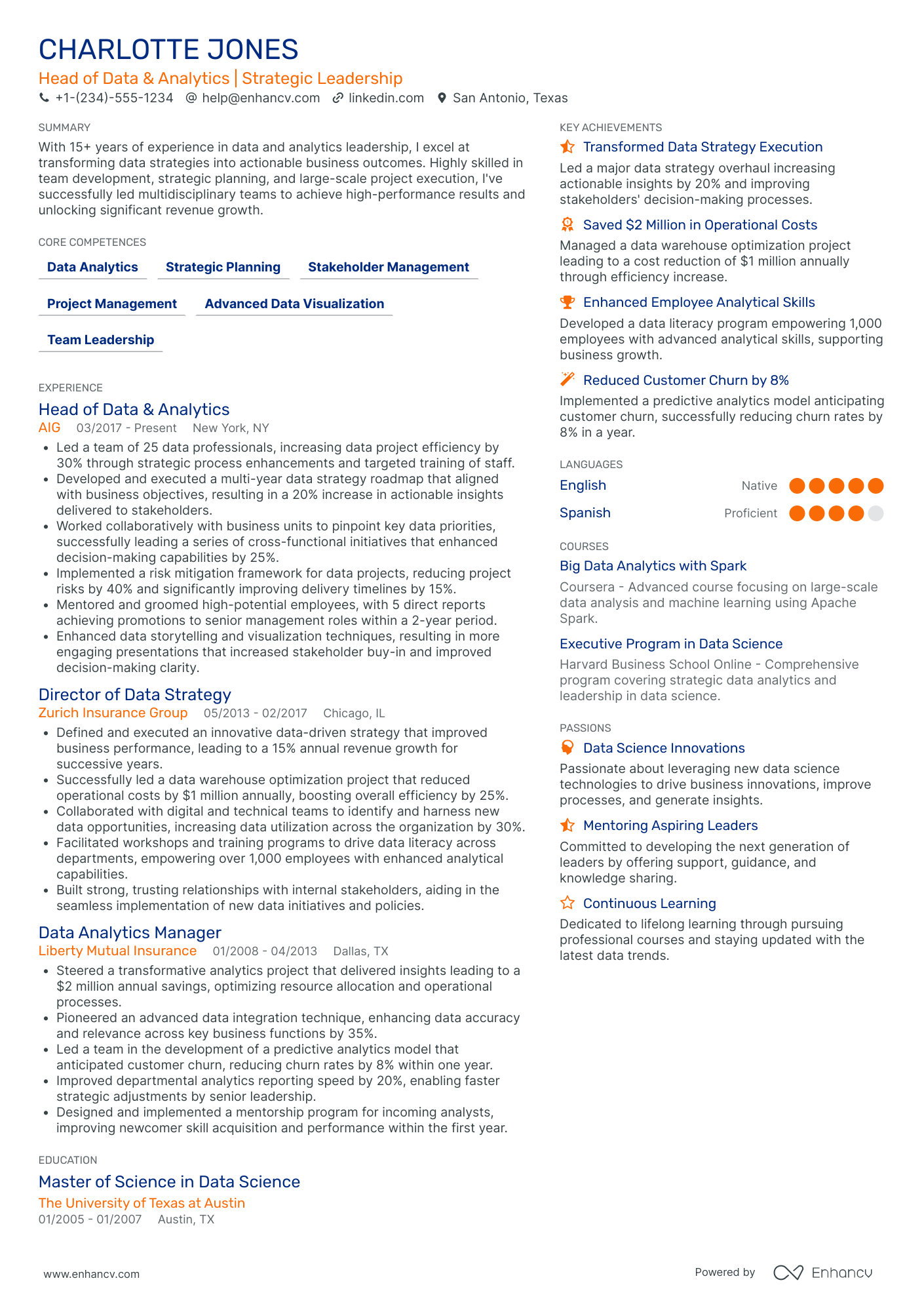 Chief Data Officer in Insurance Resume Example