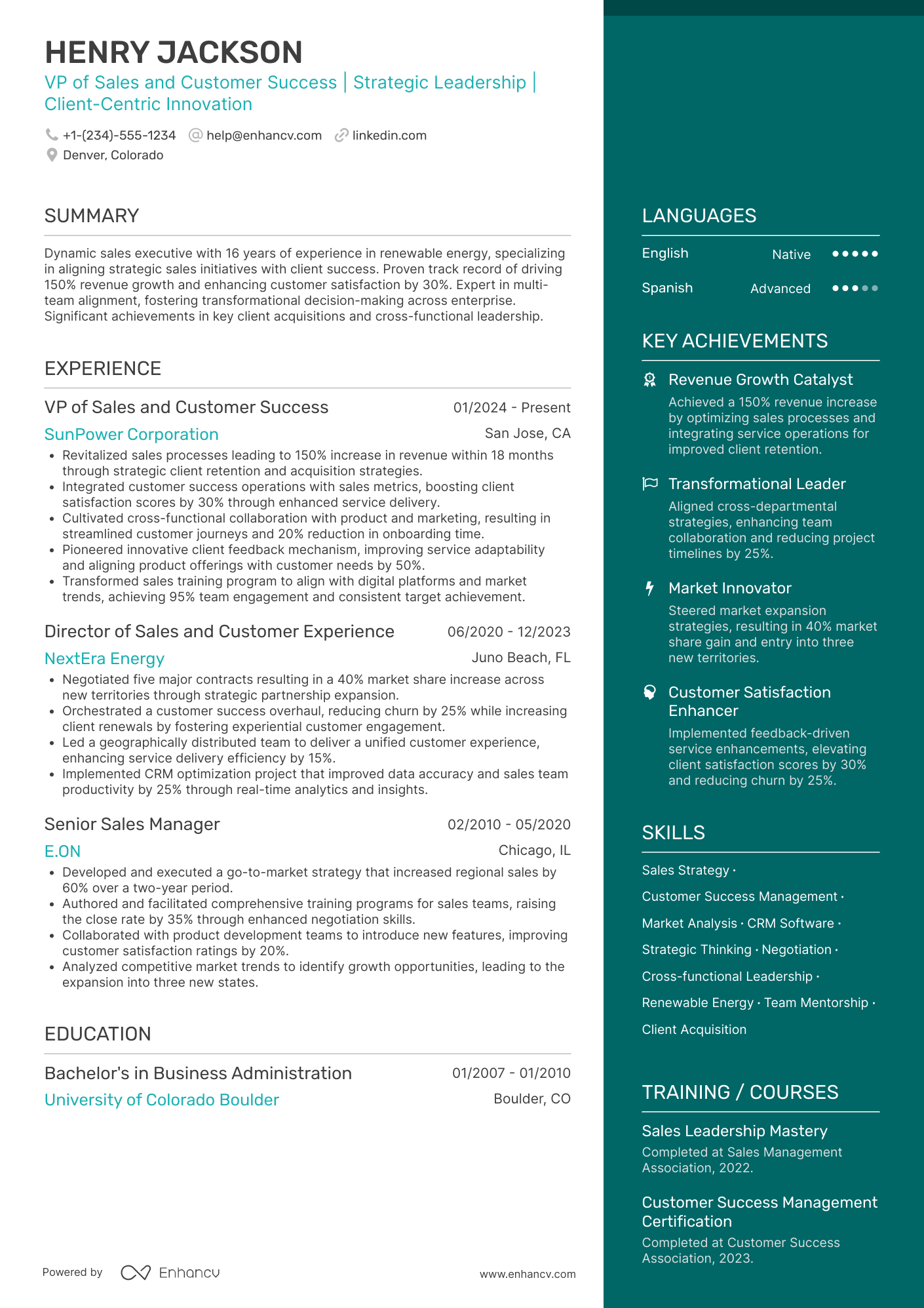 VP of Sales and Customer Success Resume Example