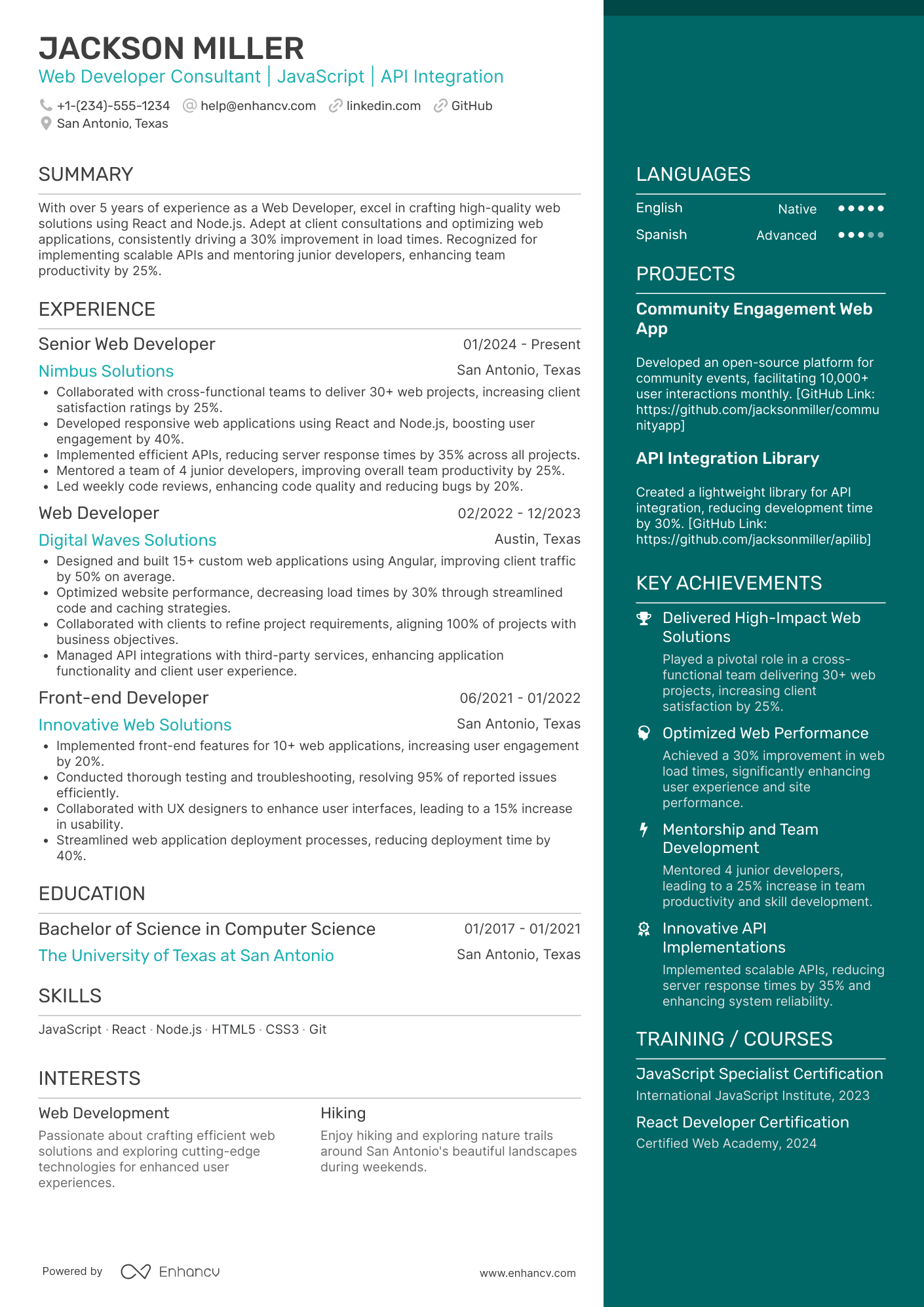 Web Developer Consultant Resume Example