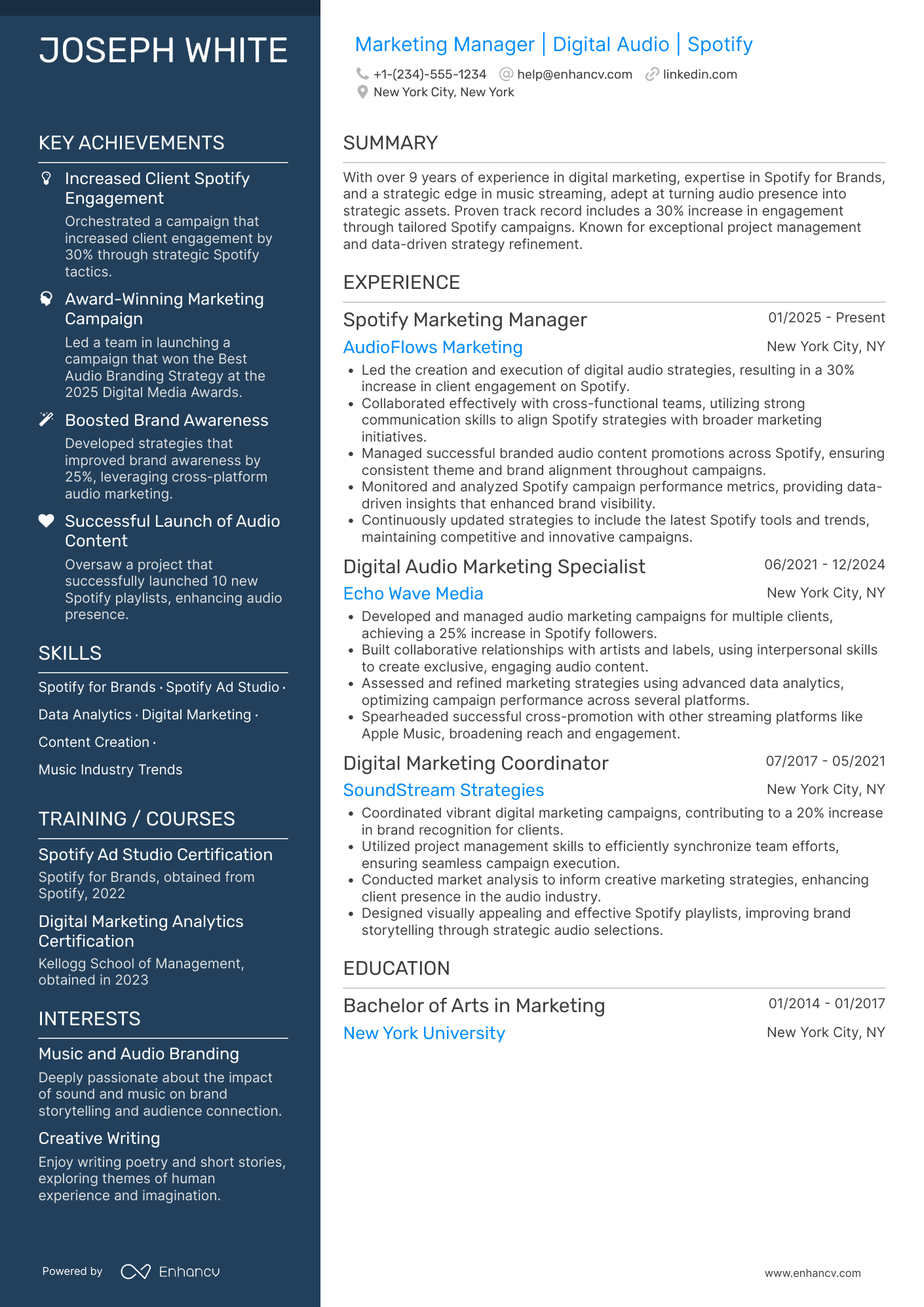 Spotify Marketing Manager Resume Example