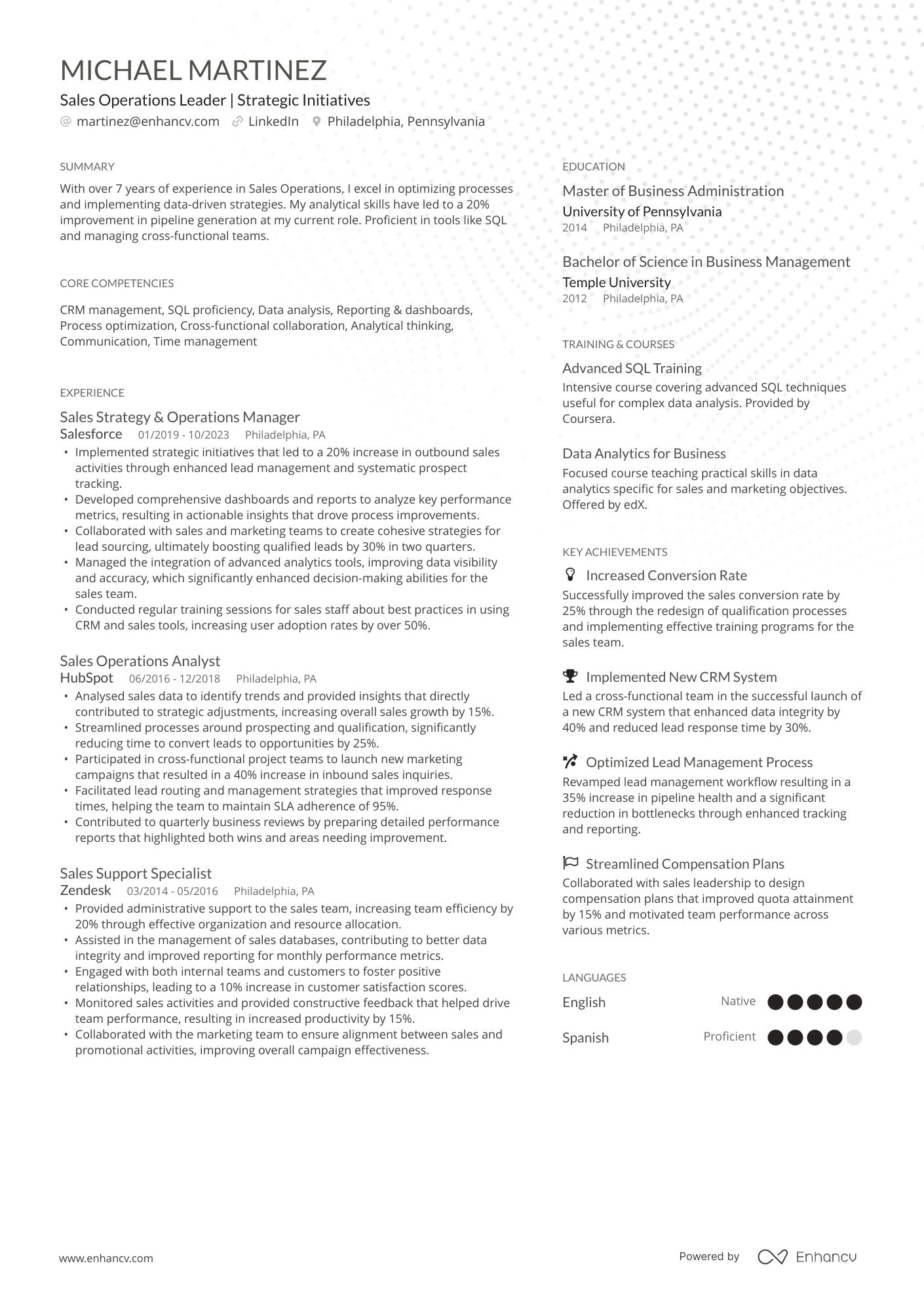 Sales Strategy & Operations Manager Resume Example