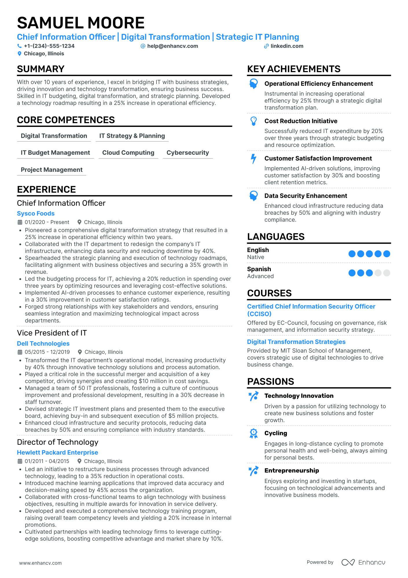 Chief Information Officer in Telecommunications Resume Example
