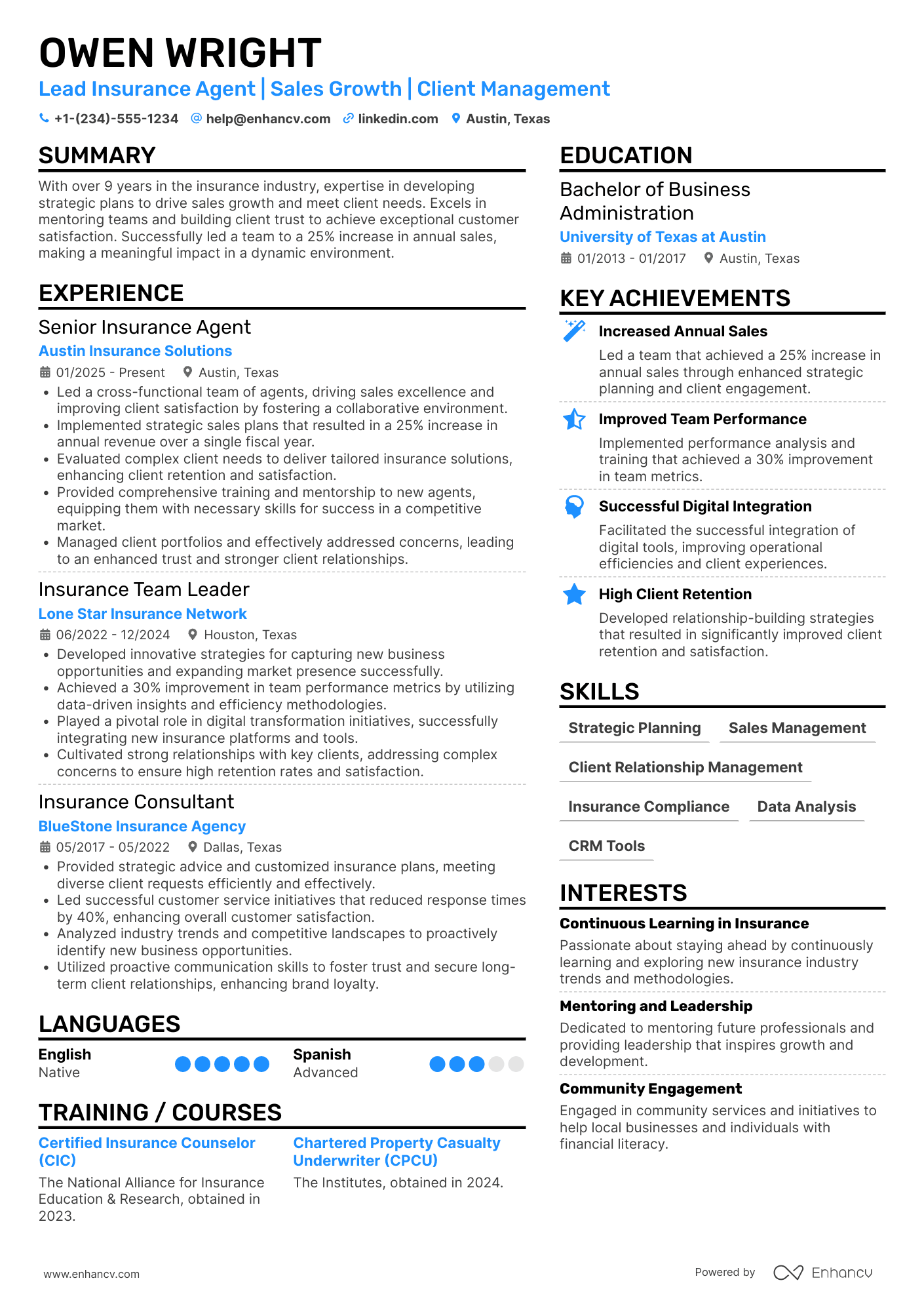 Lead Insurance Agent Resume Example