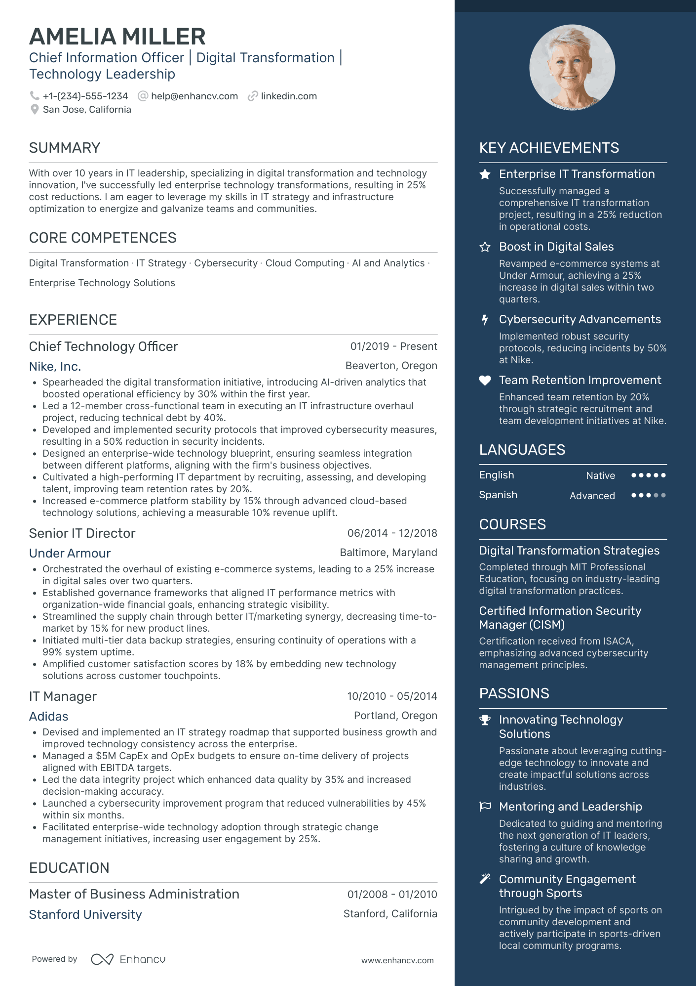 Chief Information Officer in Retail Resume Example