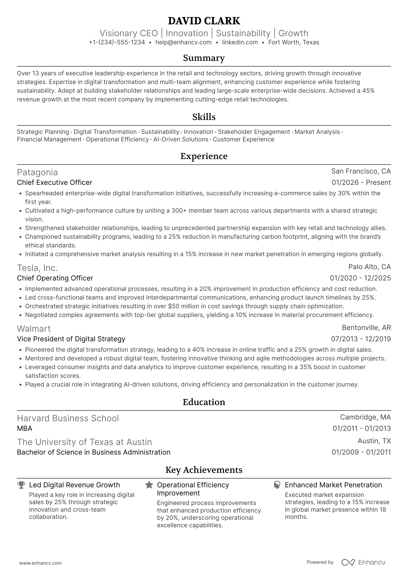 Modern CEO Resume Example