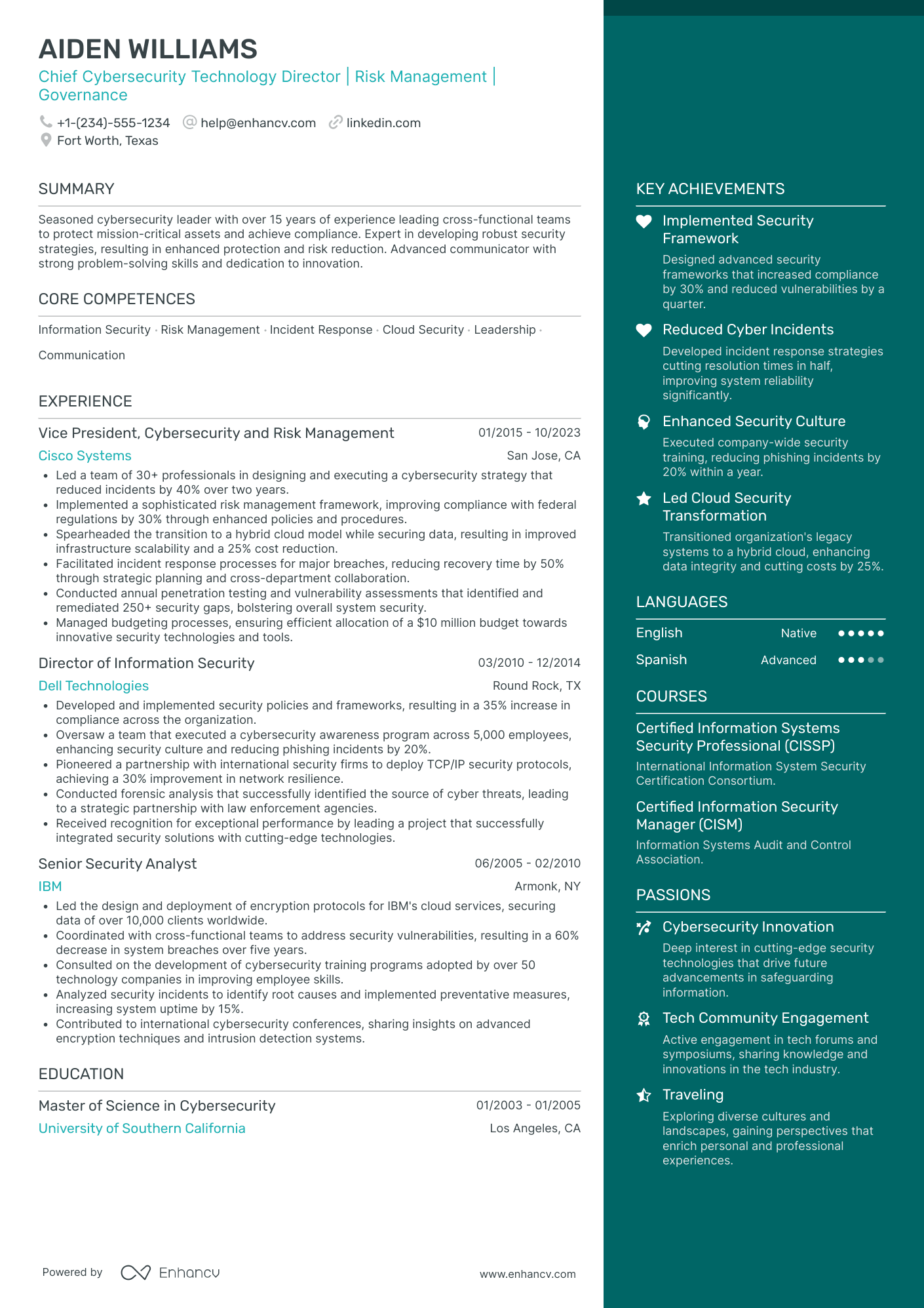 Chief Technology Officer in Cybersecurity Resume Example