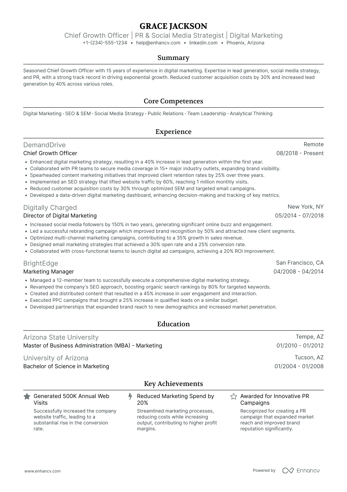 Chief Growth Officer for Digital Marketing Resume Example