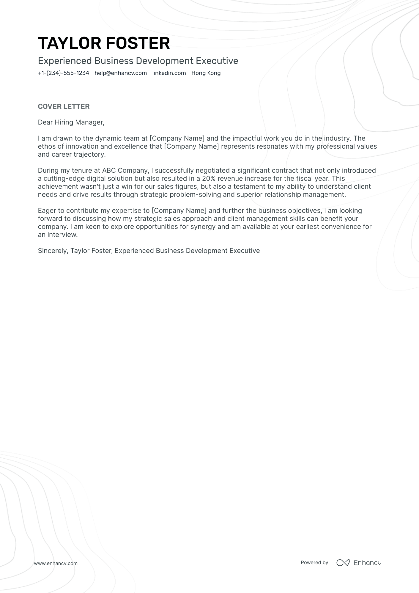 VP Business Development Resume Example