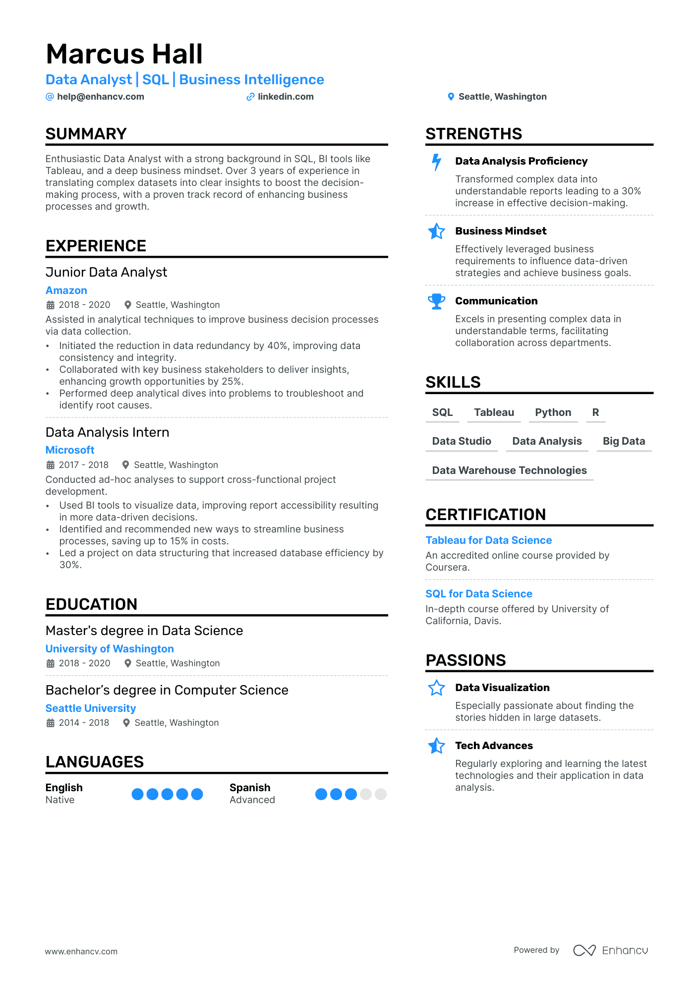 Data Analyst Intern Resume Example