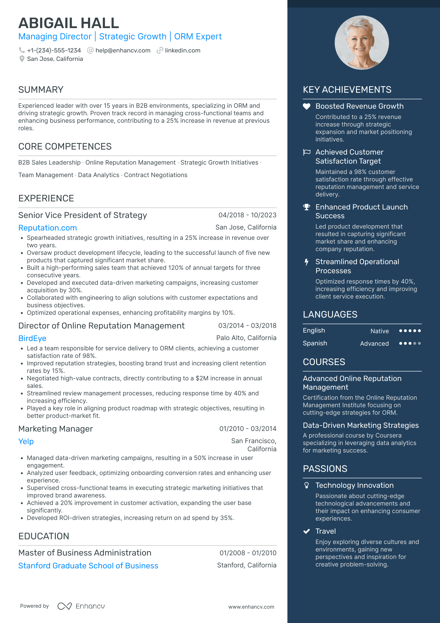 SaaS CEO Resume Example