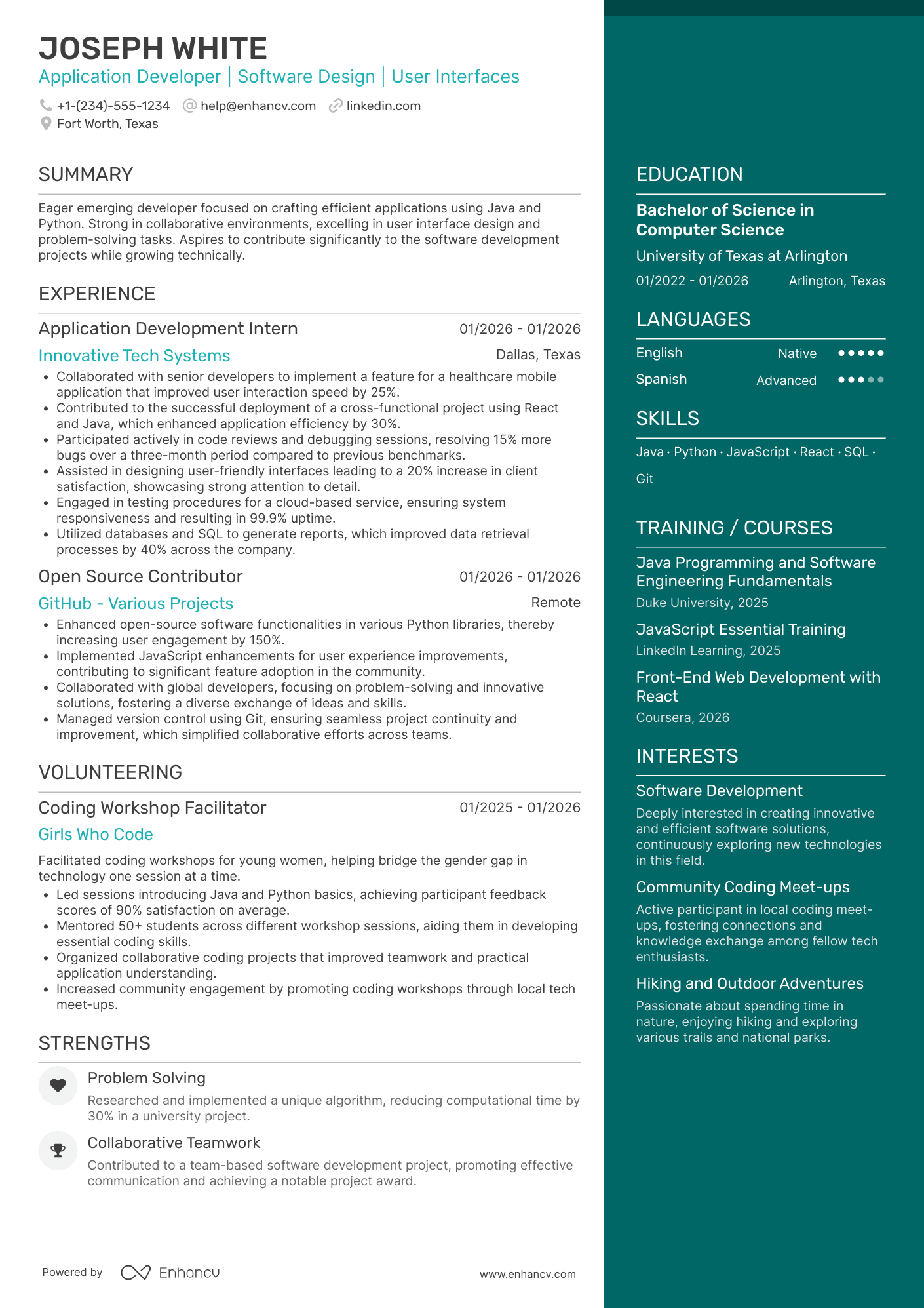 Entry Level Application Developer Resume Example