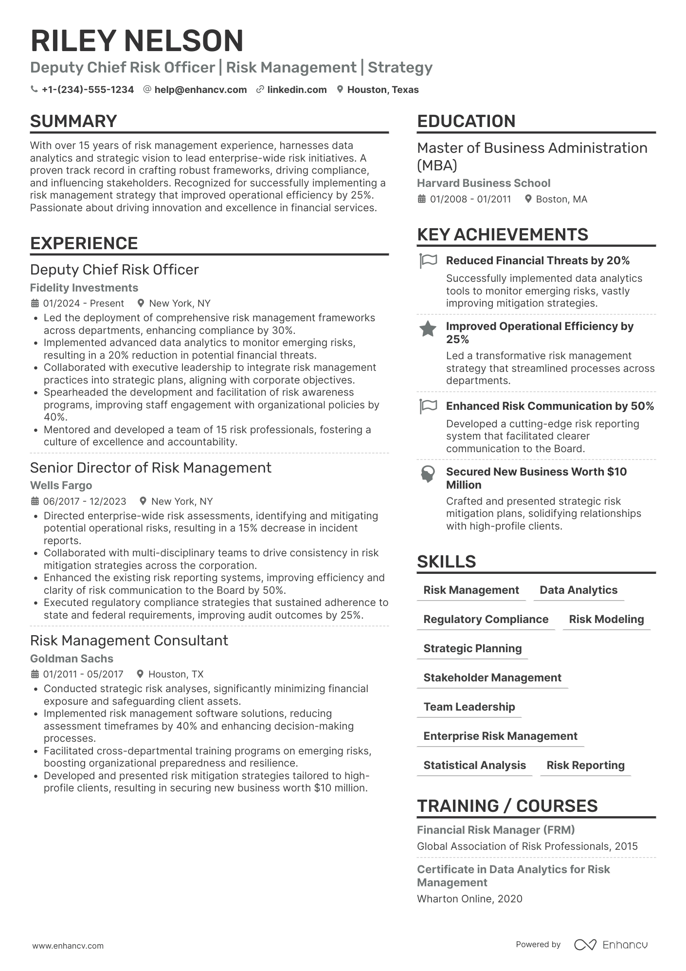 Deputy Chief Risk Officer Resume Example