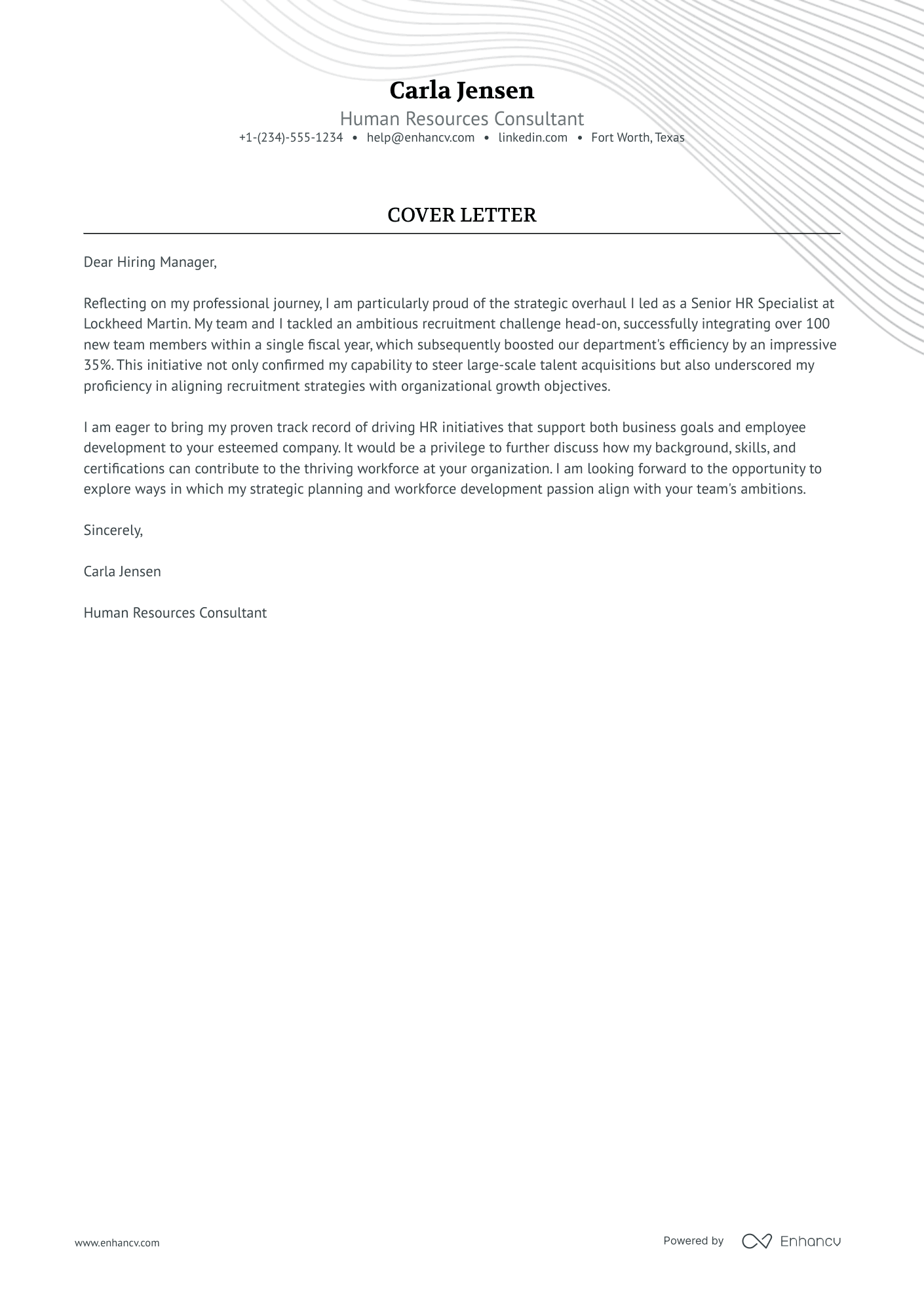 Human Resources Consultant Resume Example
