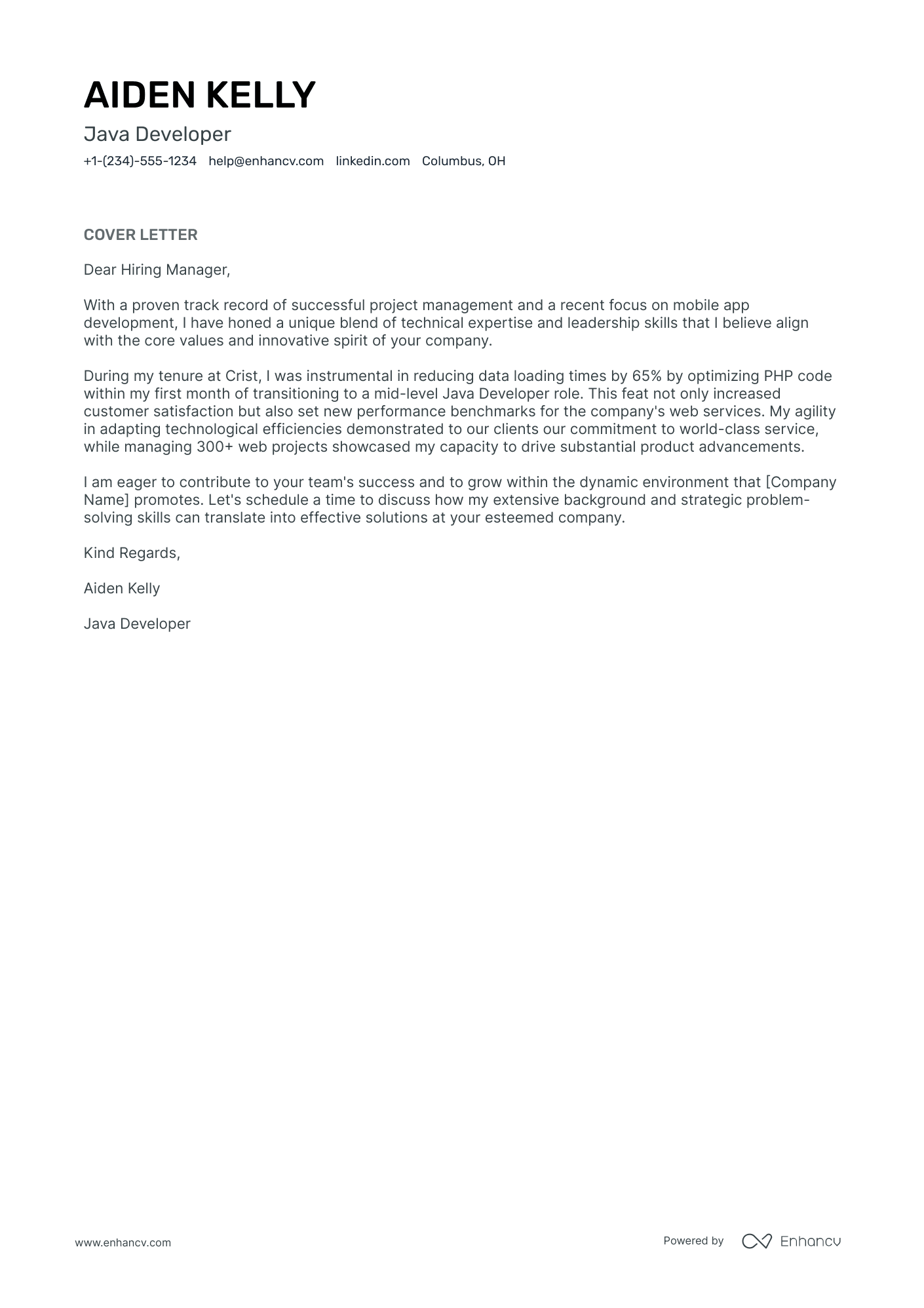 Java Developer Resume Example