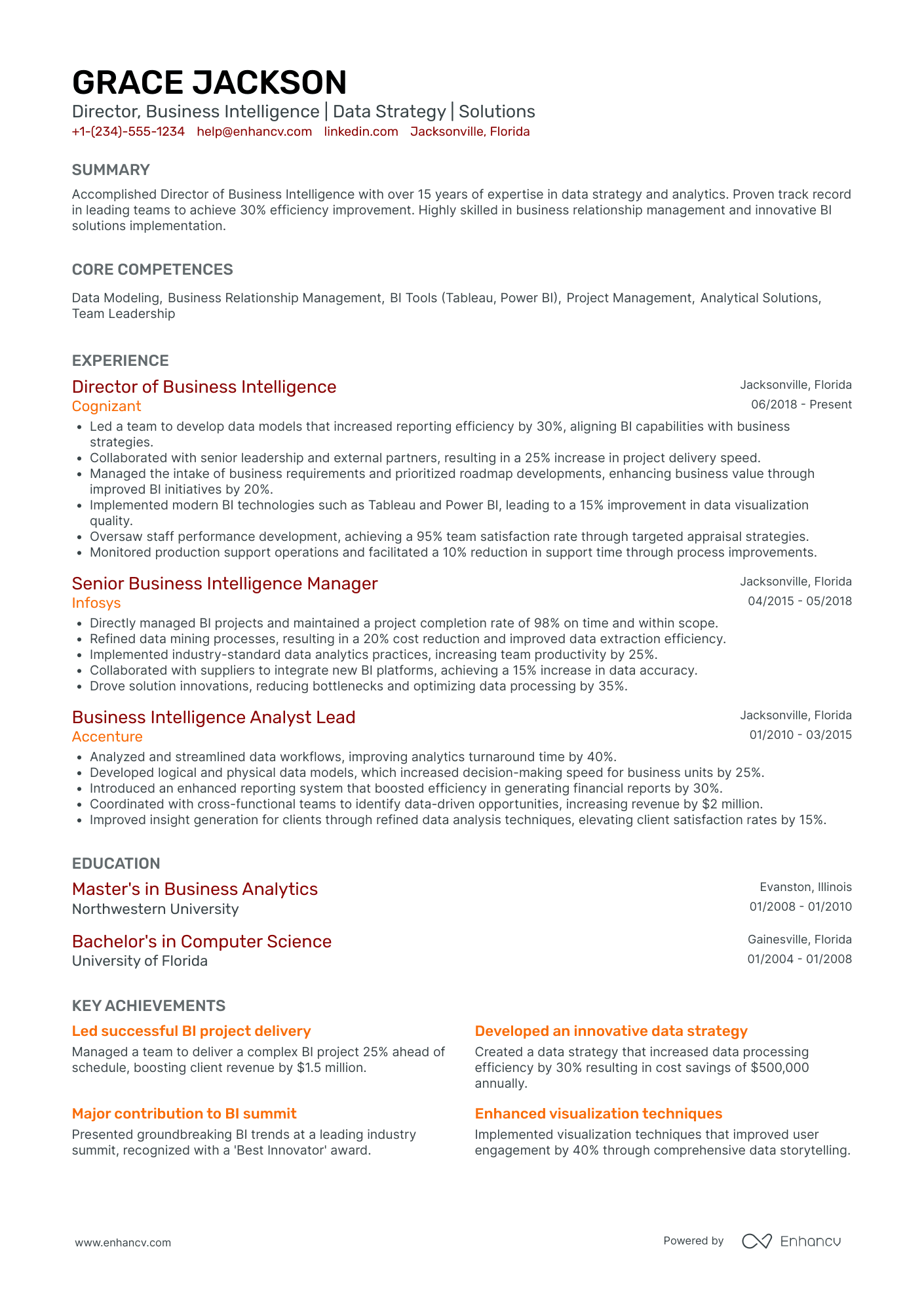 Chief Analytics Officer in Manufacturing Resume Example