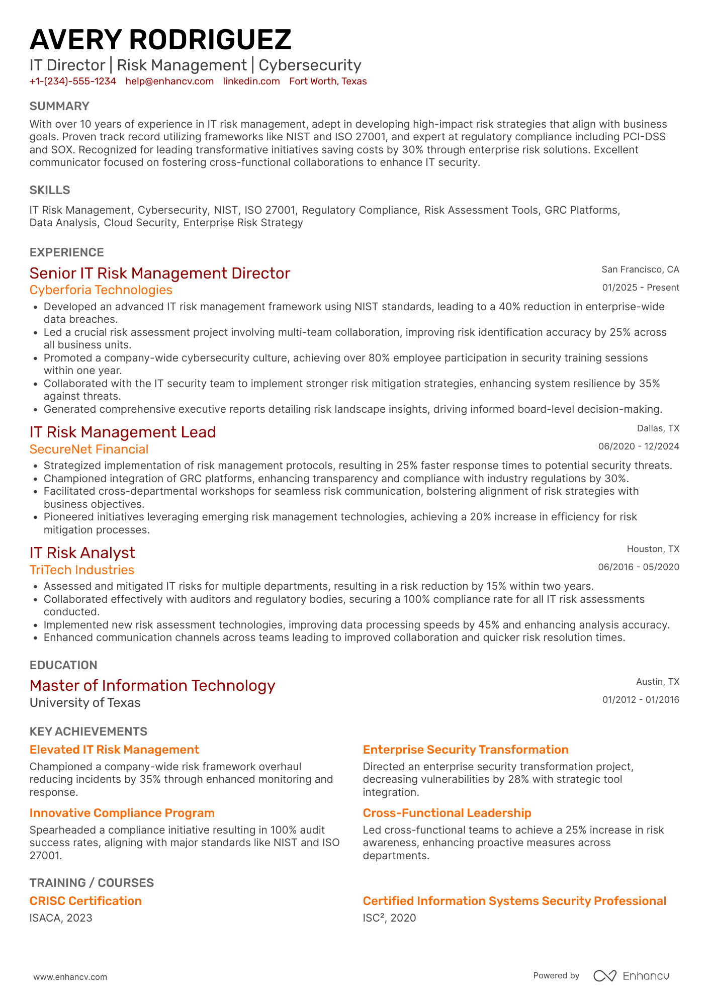 IT Director of IT Risk Management Resume Example